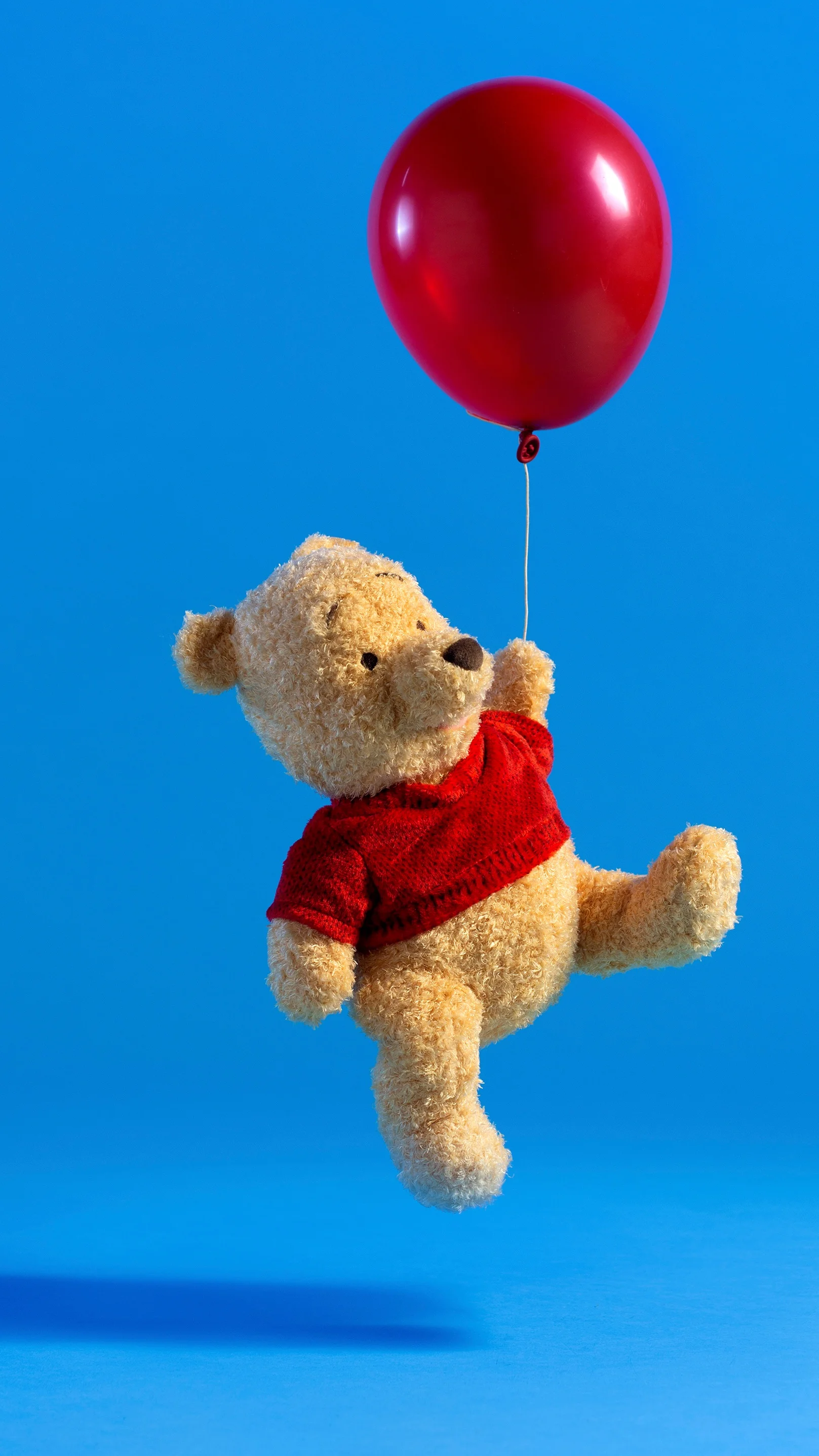 POOH_MyTeddyBearRange_POOH_4K.jpg