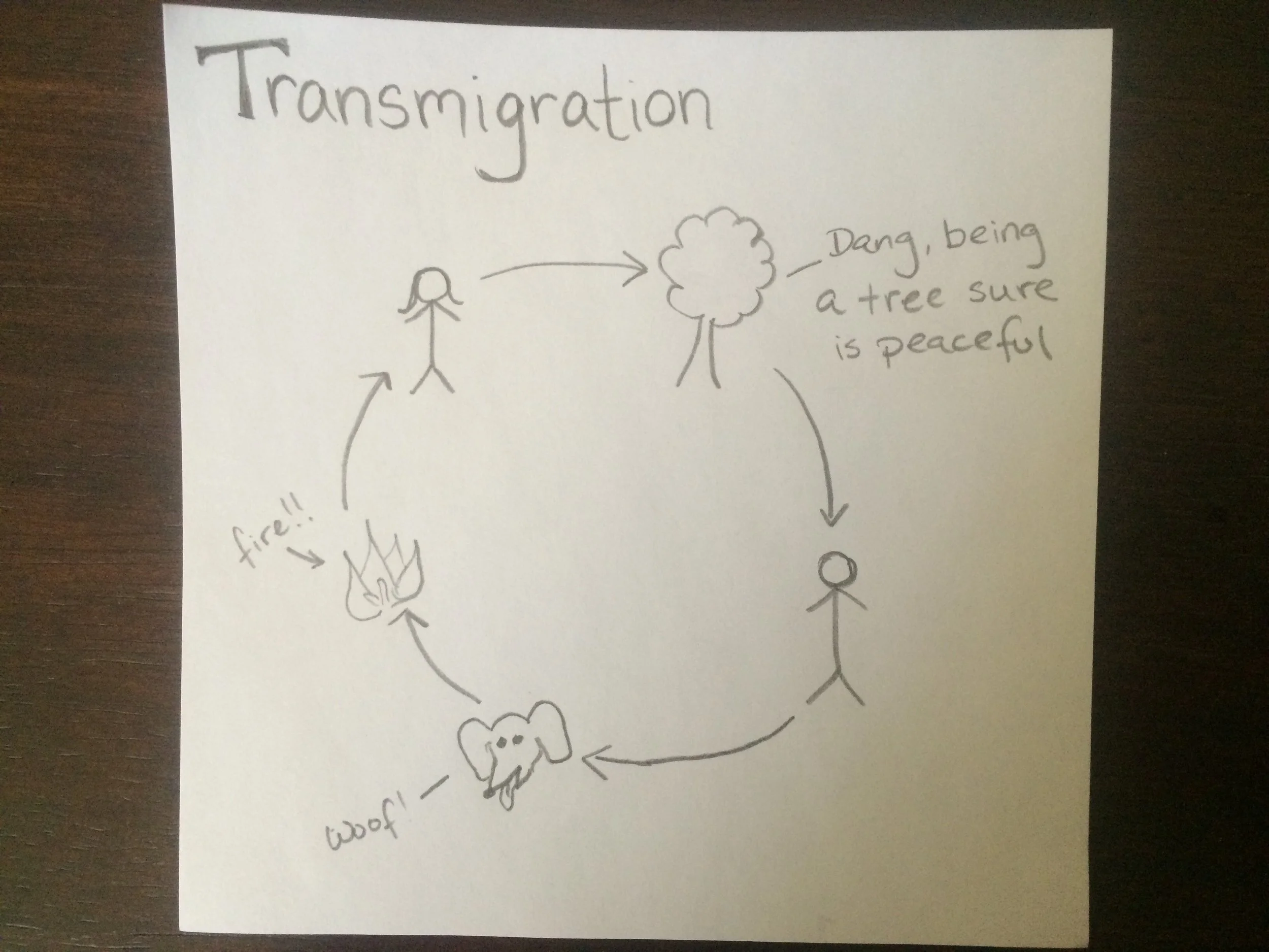 transmigration.jpg