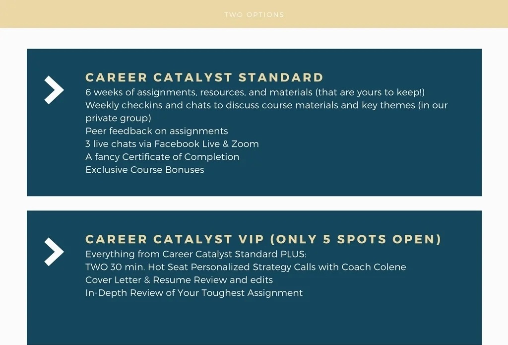 career catalyst (1).jpg