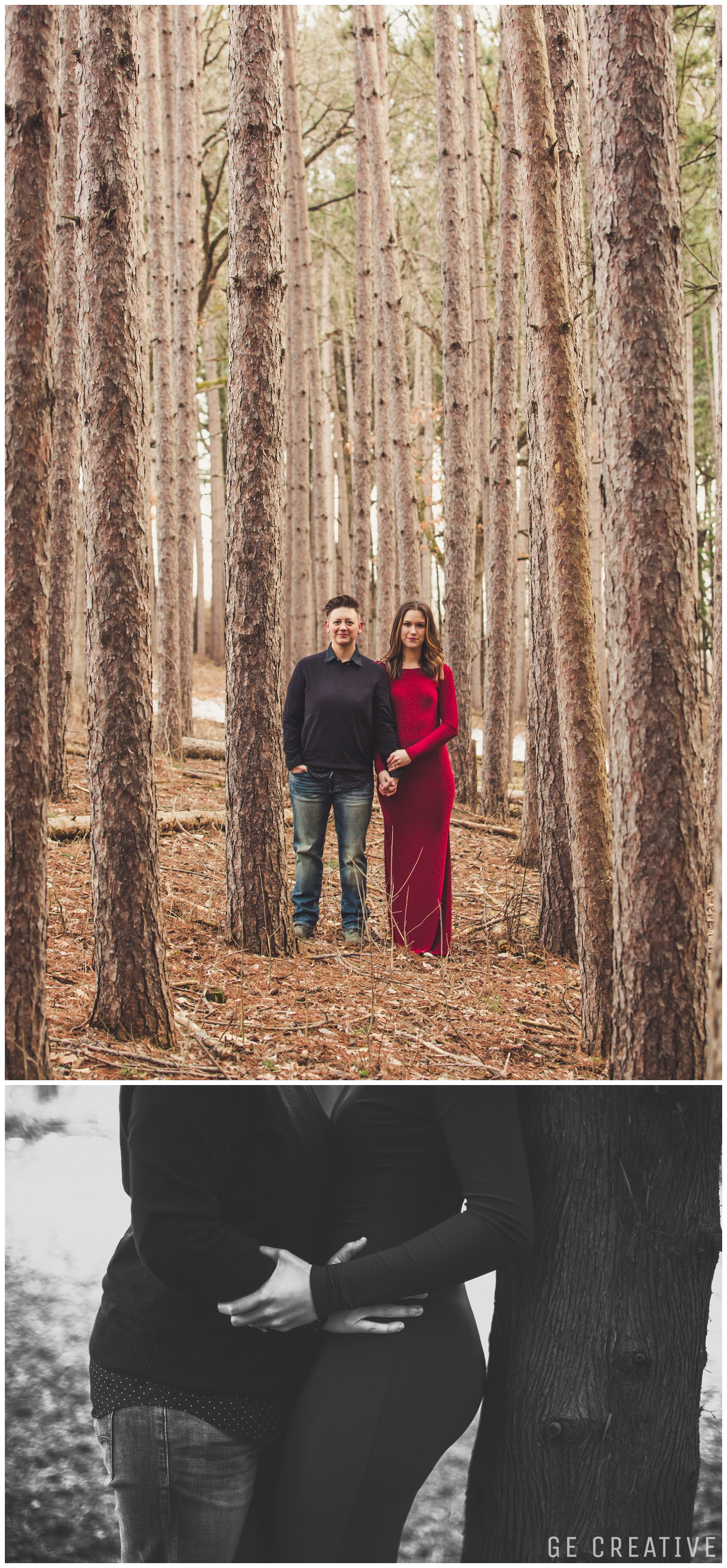 Engagement photos