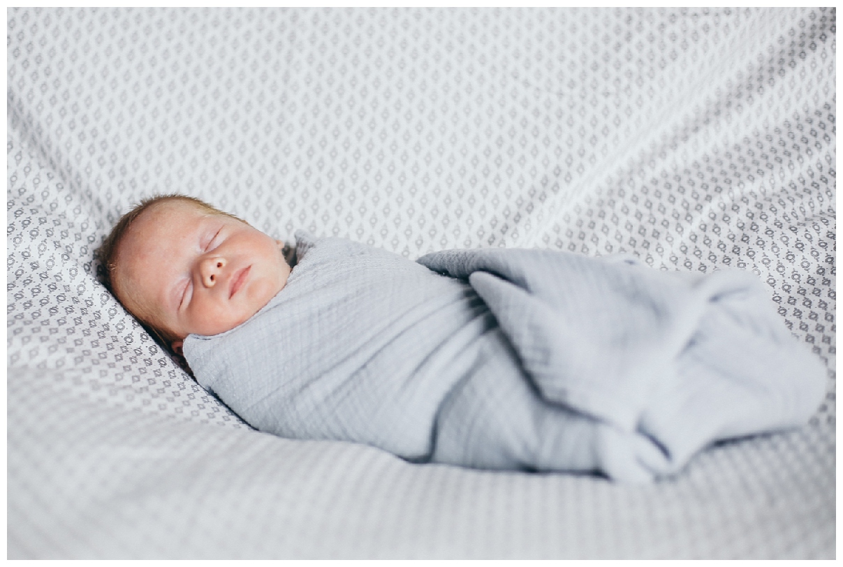 Swaddled newborn baby picture