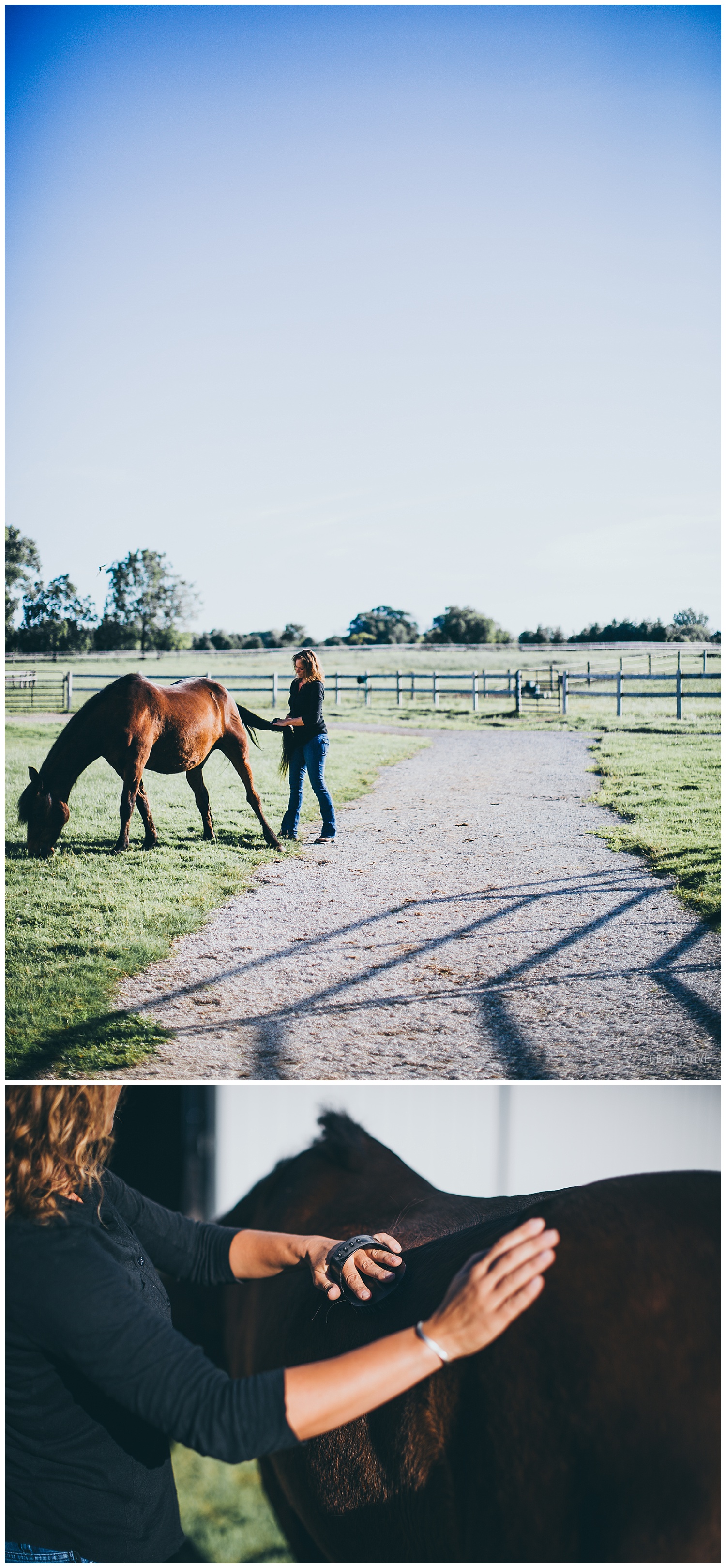HorseMemorialSession_0003.jpg