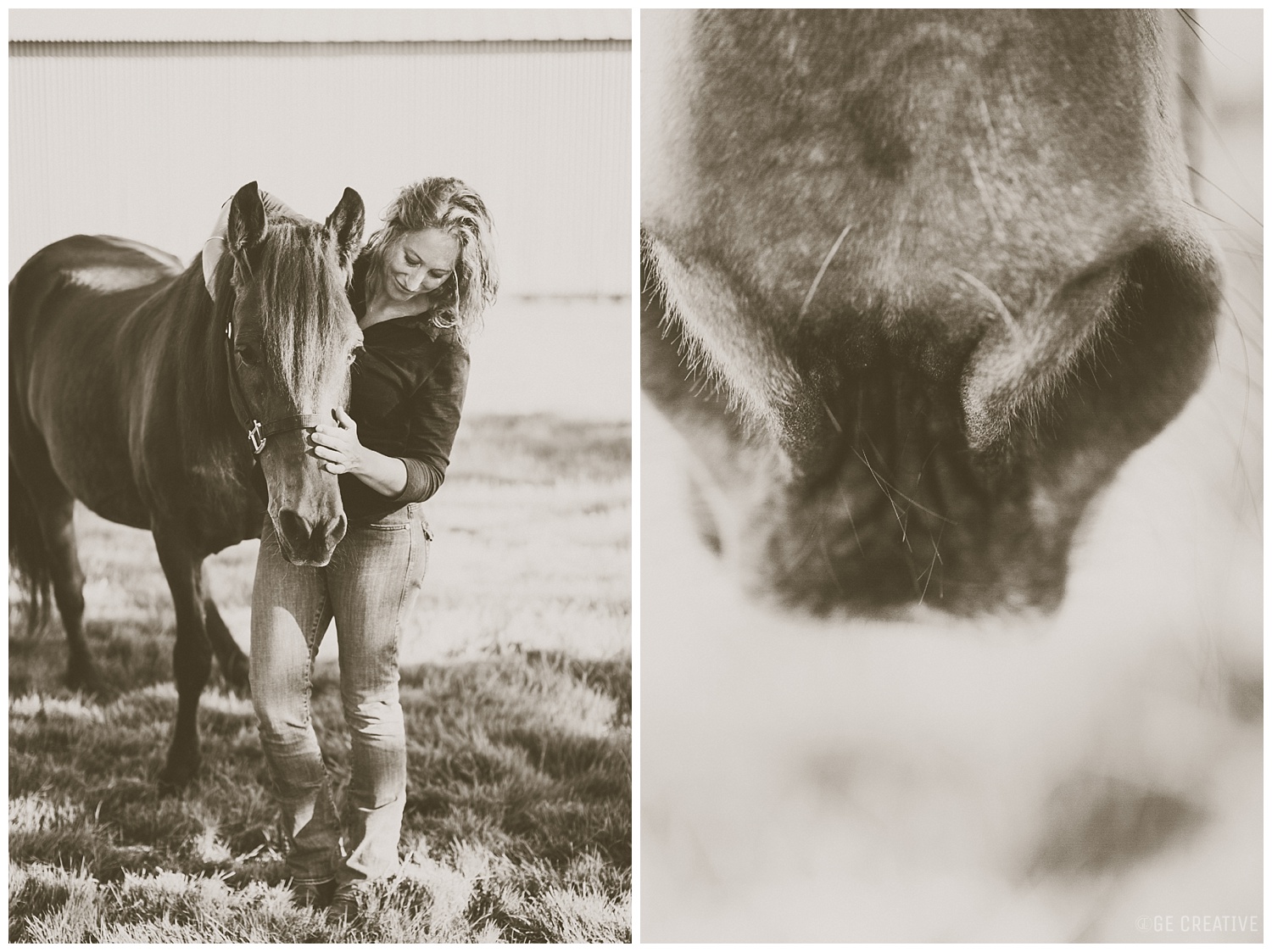 HorseMemorialSession_0008.jpg