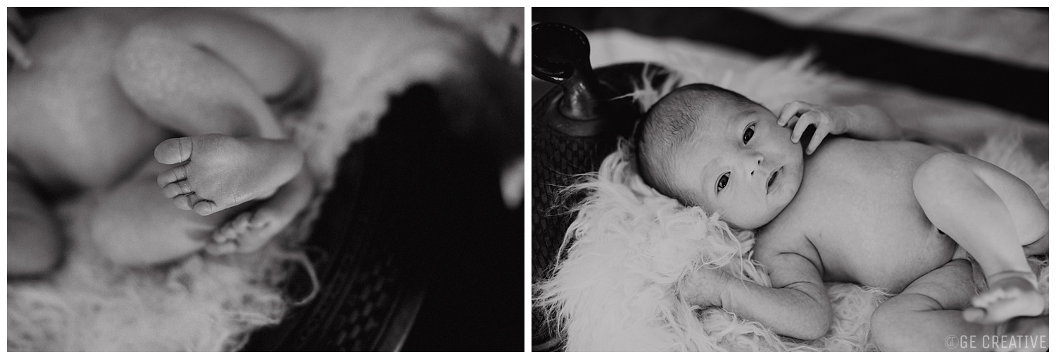 FPJNewborn_0005.jpg