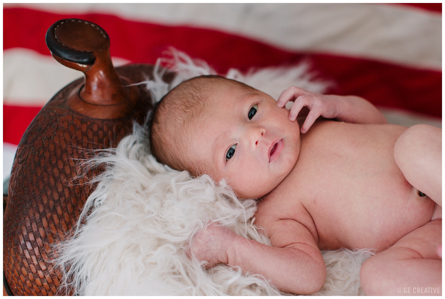 FPJNewborn_0006.jpg
