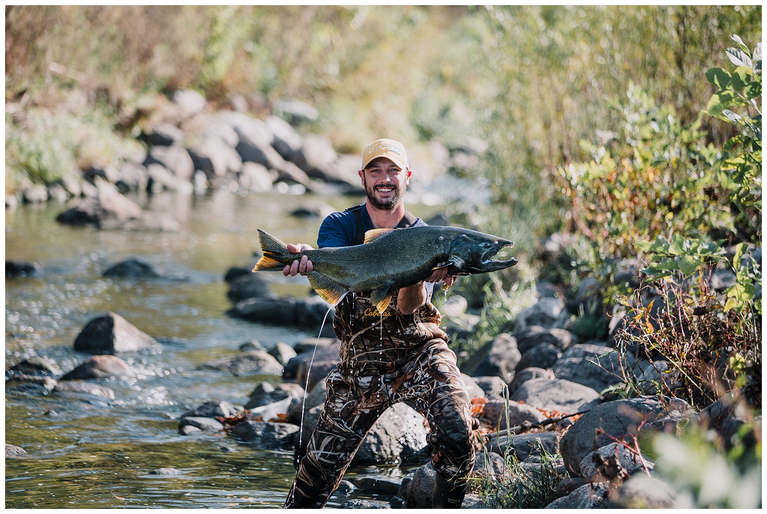 Salmon in the city.