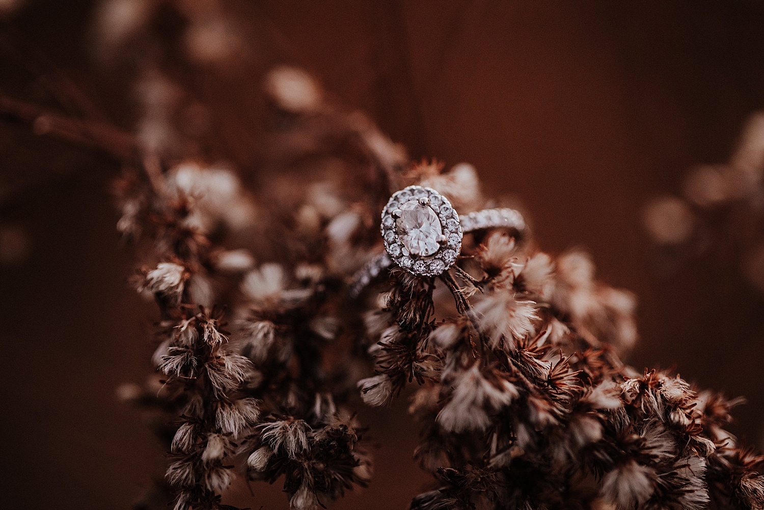 lions-den-gorge-engagement-session_0022.jpg