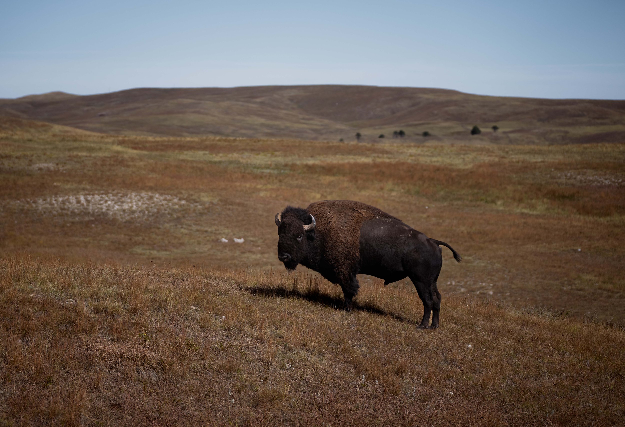 CusterStatePark-PreRoundup-20210923-ByronBanasiak-5.jpg