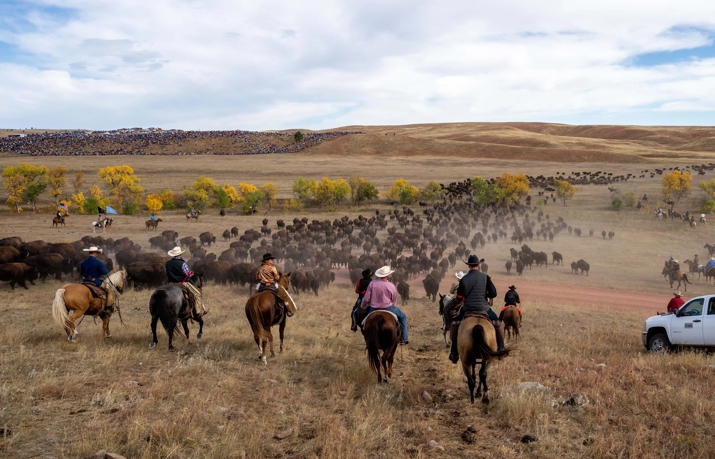 BuffaloRoundup-CSP-20220930-ByronBanasiak-21.jpg