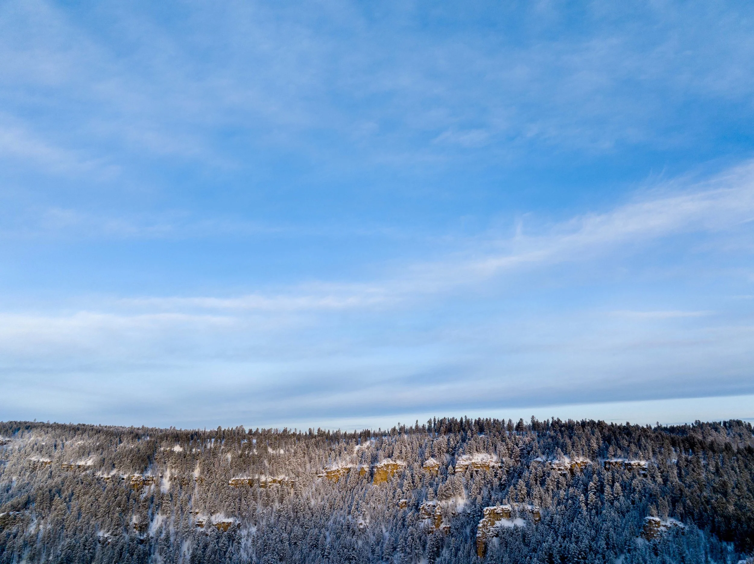 SpearfishCanyon-Winter-Drone-20231215_ByronBanasiak-6_1.jpg