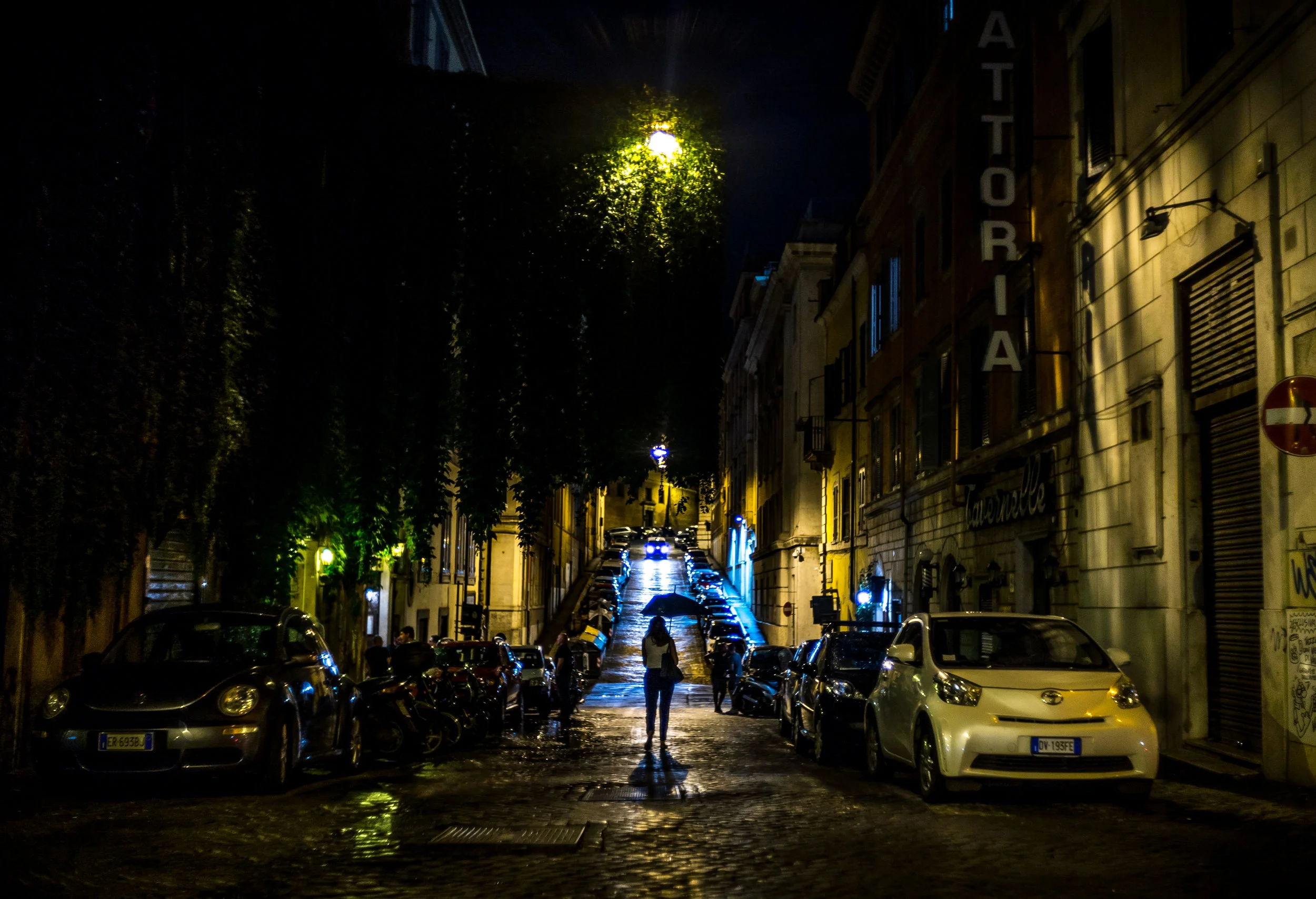 _DSC8620.jpg