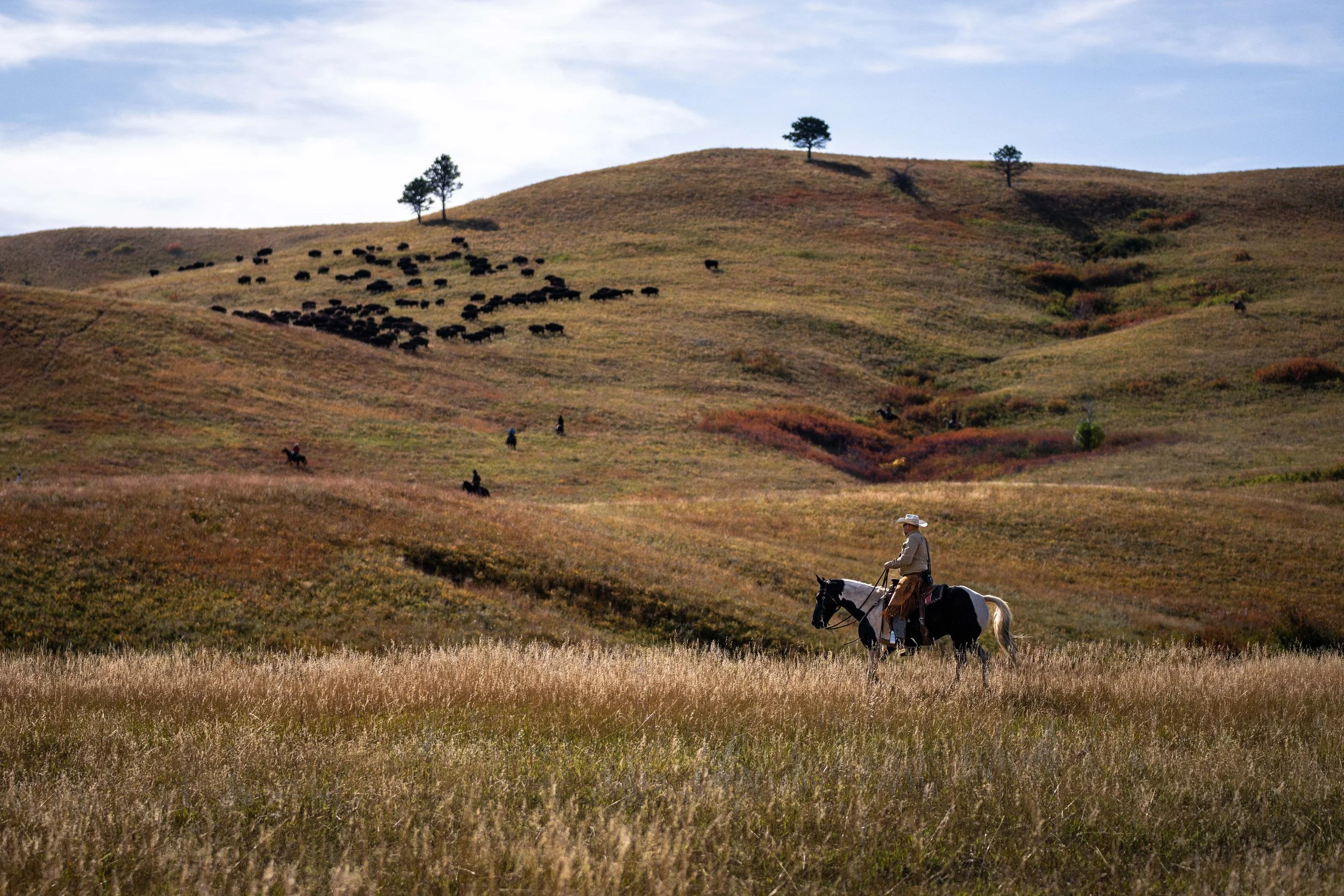 BuffaloRoundup-20230929_ByronBanasiak-29.jpg