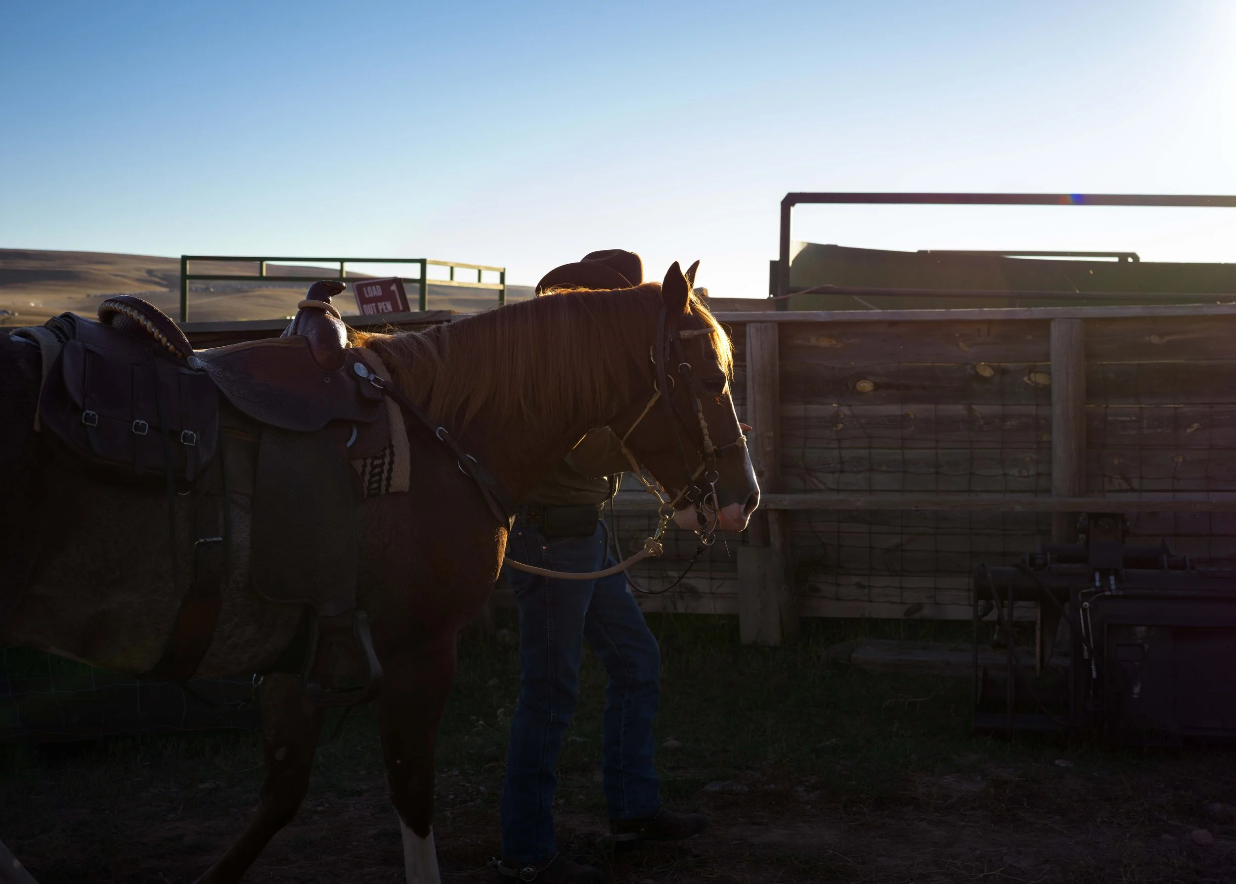 BuffaloRoundup-X2D-20250928-ByronBanasiak-3.jpg