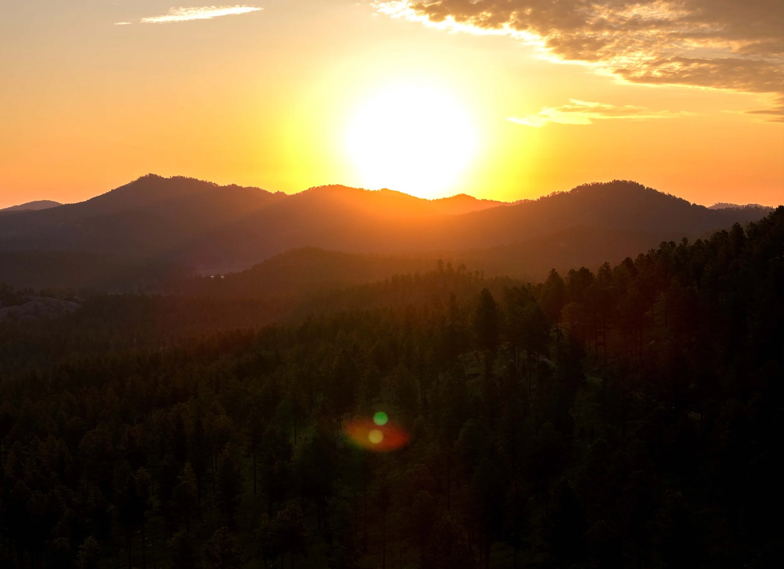 Landscape-Custer-Drone-20230827_ByronBanasiak-7_1.jpg