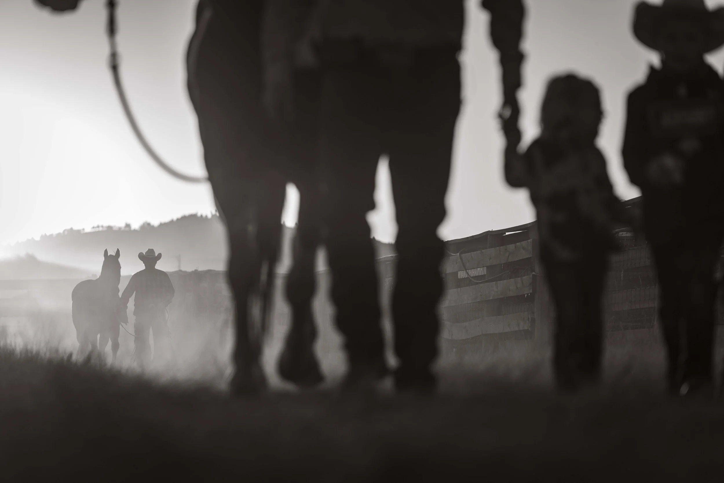 BuffaloRoundup-BeforeRide-CSP-20240927_ByronBanasiak-73.jpg