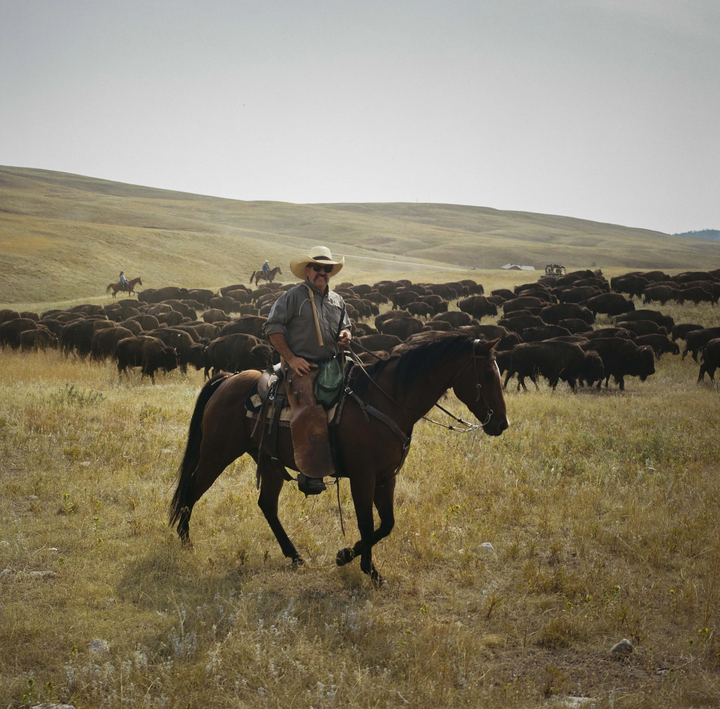 Pre-Roundup-Medium-Format-10.jpg