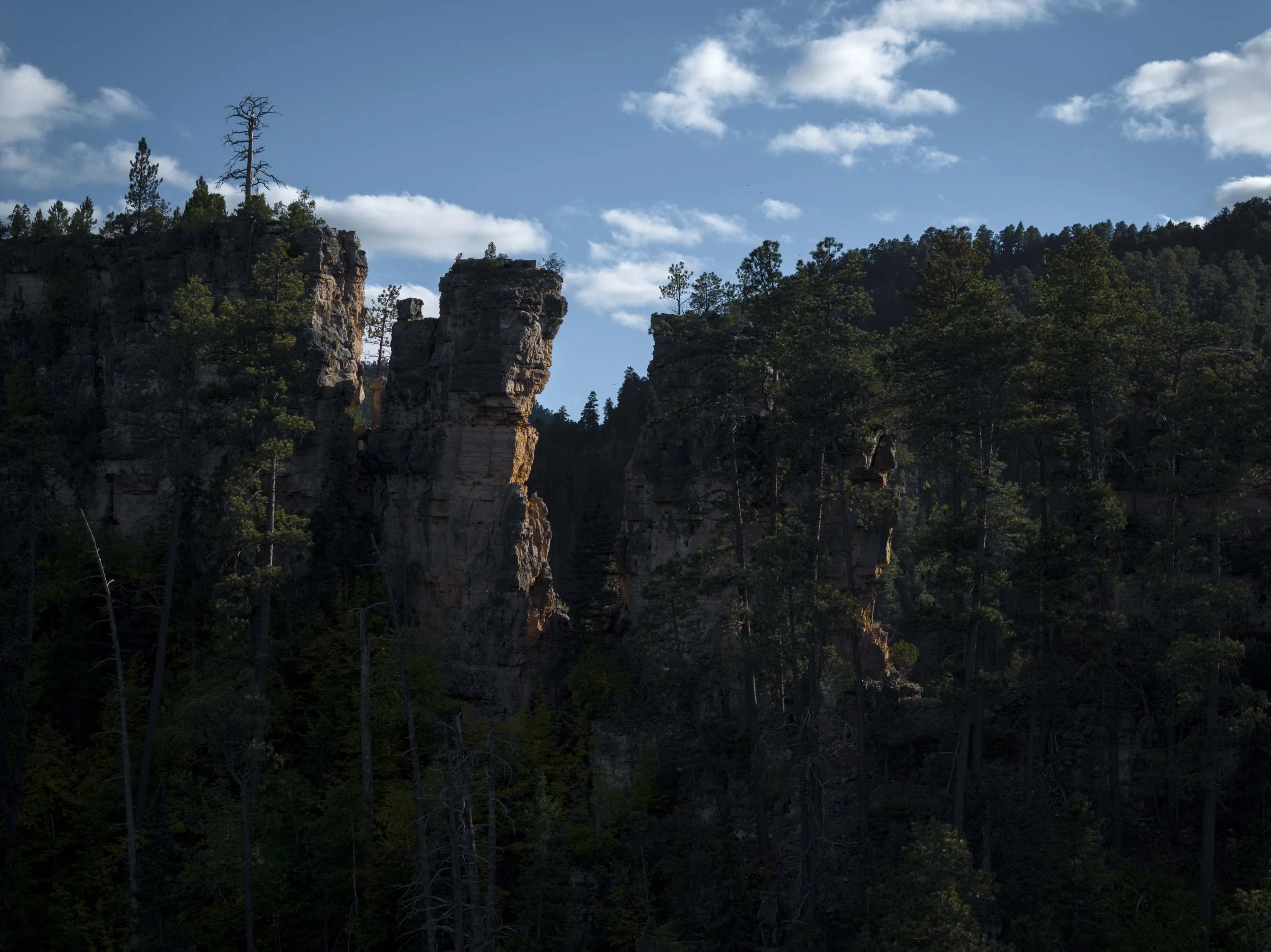 SpearfishCanyon-Drone-20240925_ByronBanasiak-24_1.jpg