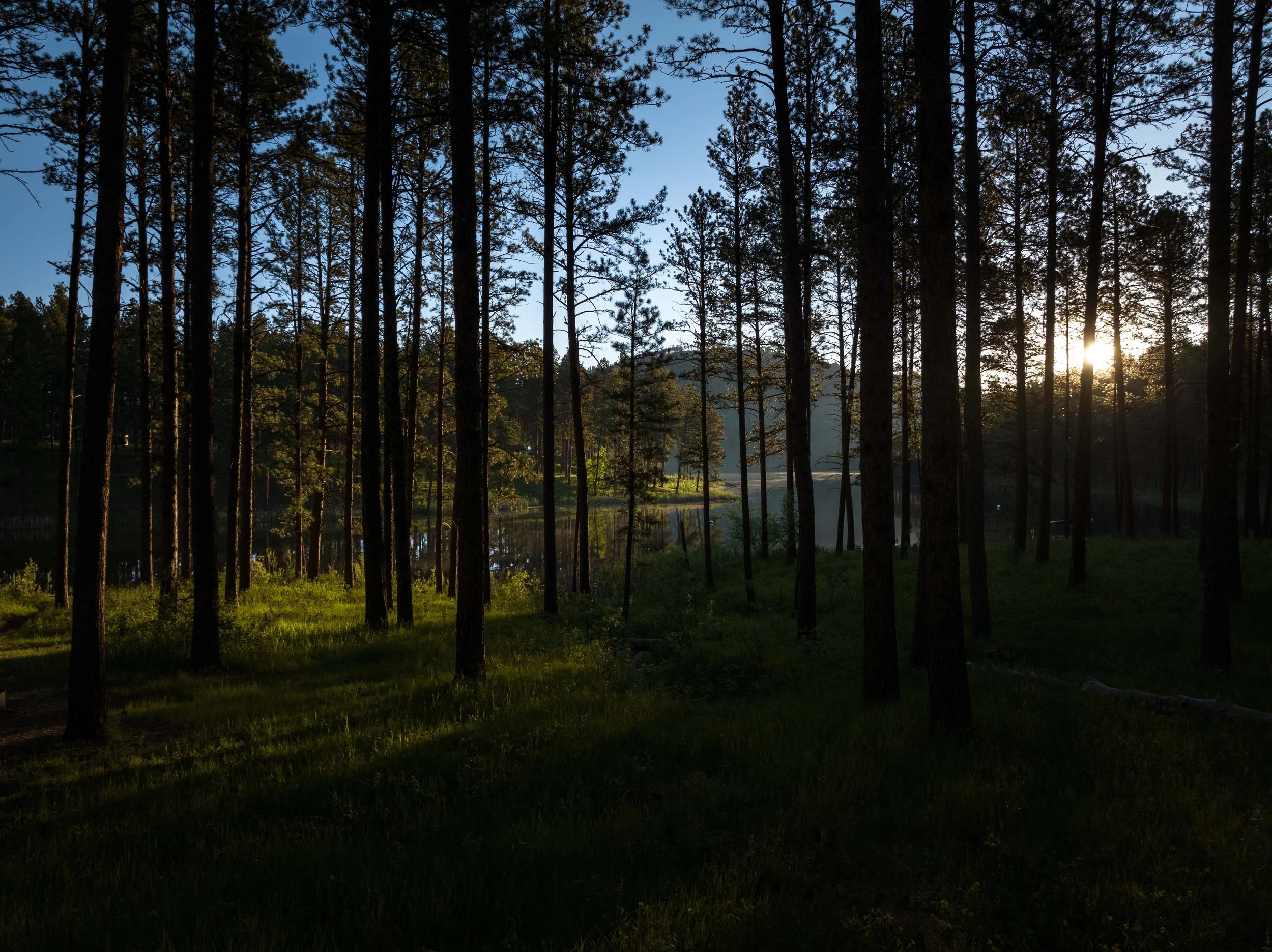 SheridanLake-Drone-20240612-ByronBanasiak_1.jpg