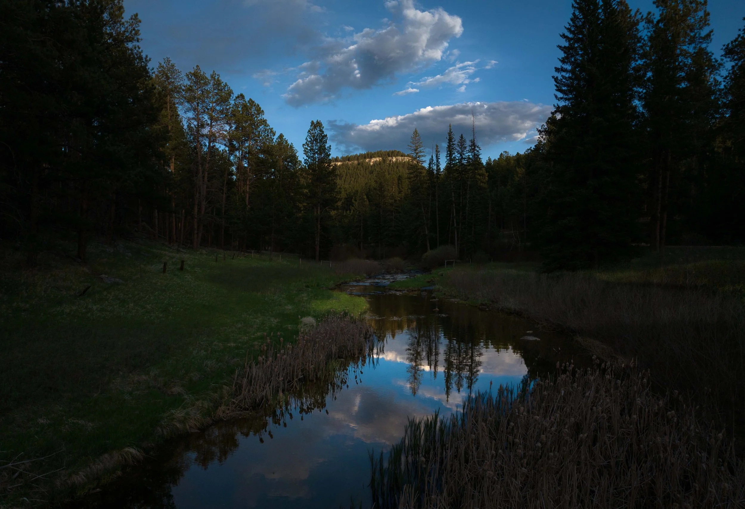 Nemo-Drone-20250518-ByronBanasiak-19_1.jpg