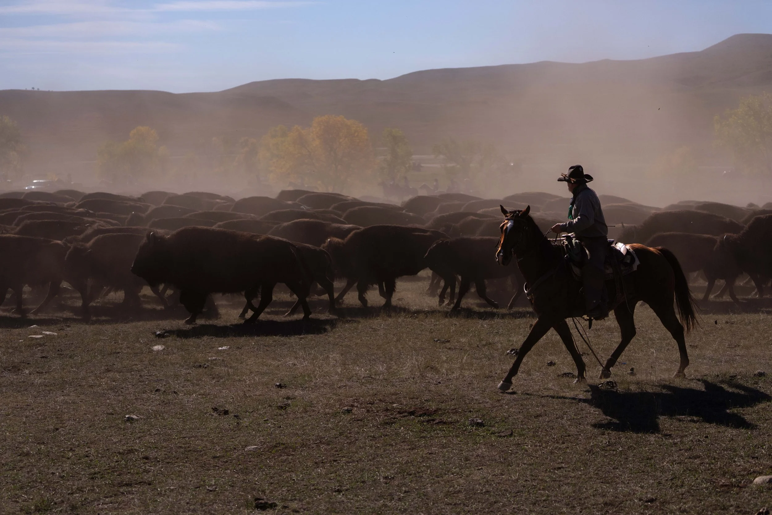 BuffaloRoundup-CSP-20250926-ByronBanasiak-24.jpg