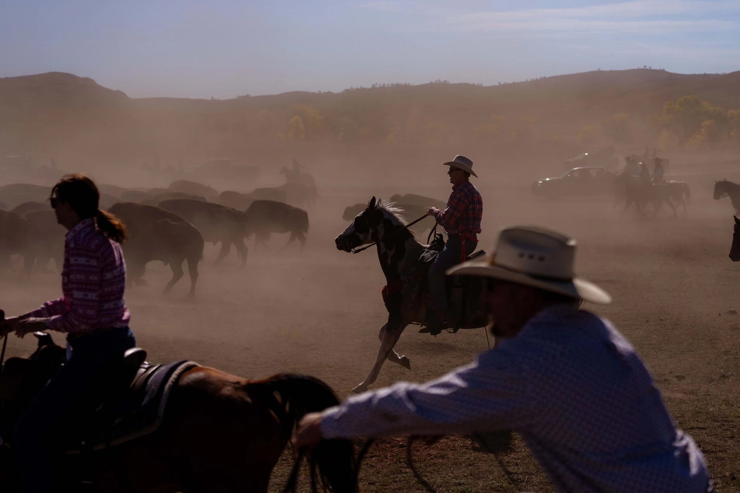 BuffaloRoundup-CSP-20250926-ByronBanasiak-29.jpg