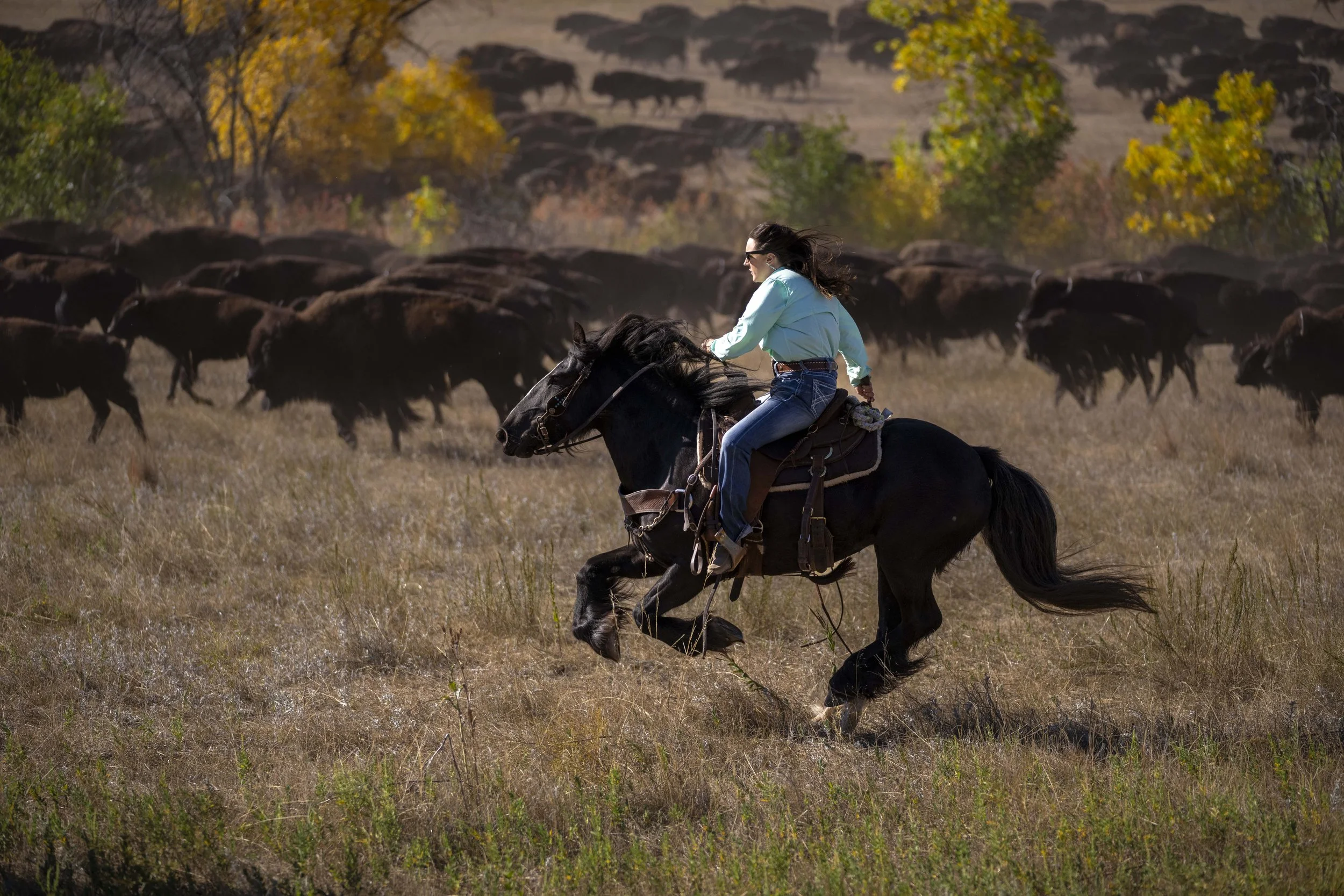BuffaloRoundup-CSP-20240927_ByronBanasiak-68.jpg