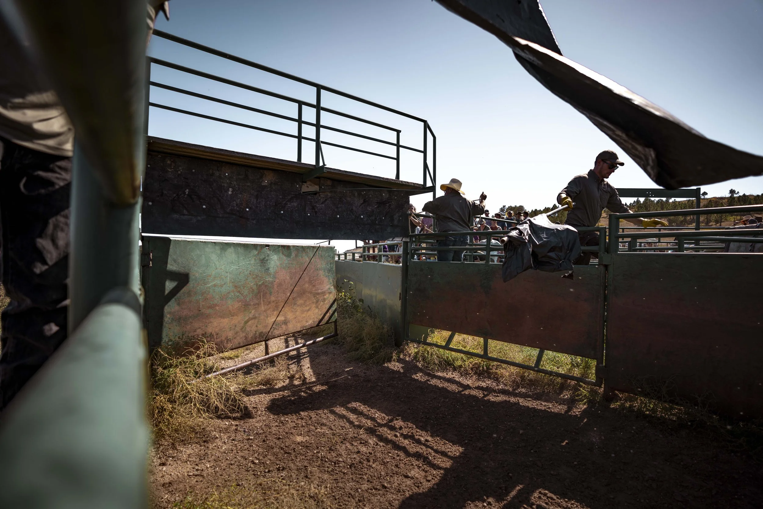 BuffaloRoundup-Branding-CSP-20240927_ByronBanasiak-75.jpg