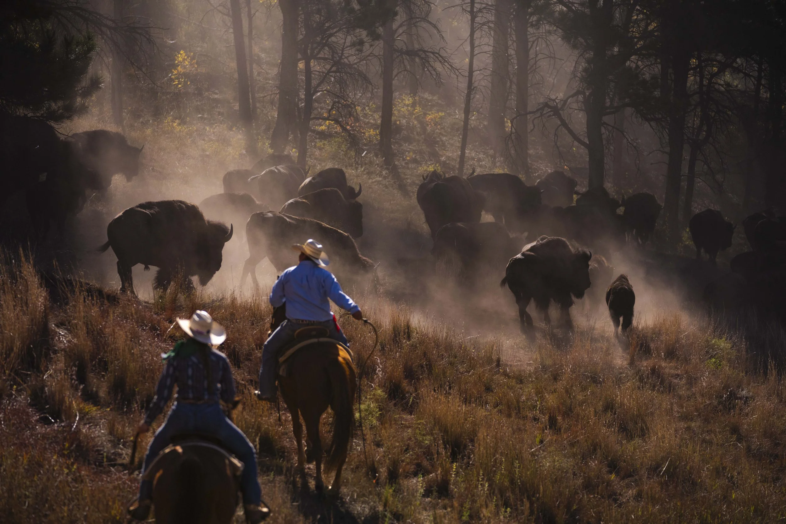 BuffaloRoundup-CSP-20240927_ByronBanasiak-125.jpg