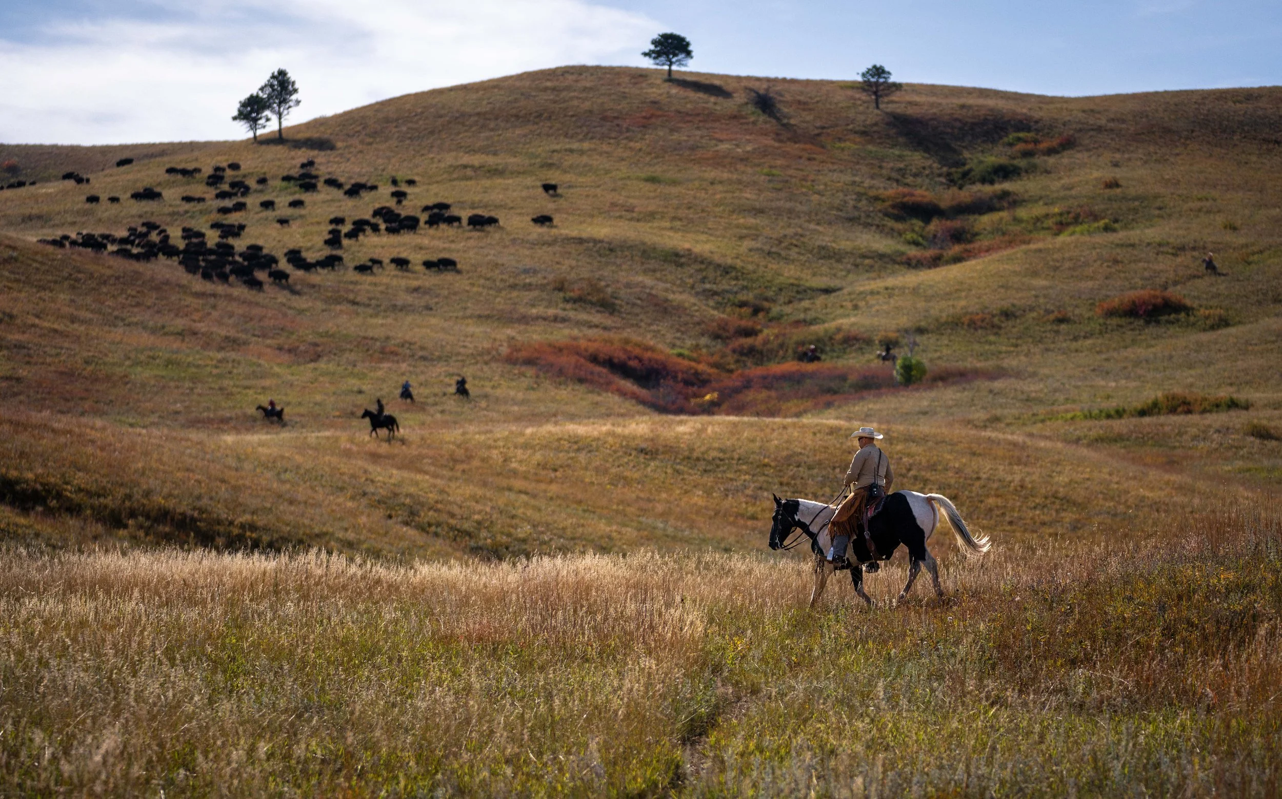 BuffaloRoundup-20230929_ByronBanasiak-27.jpg