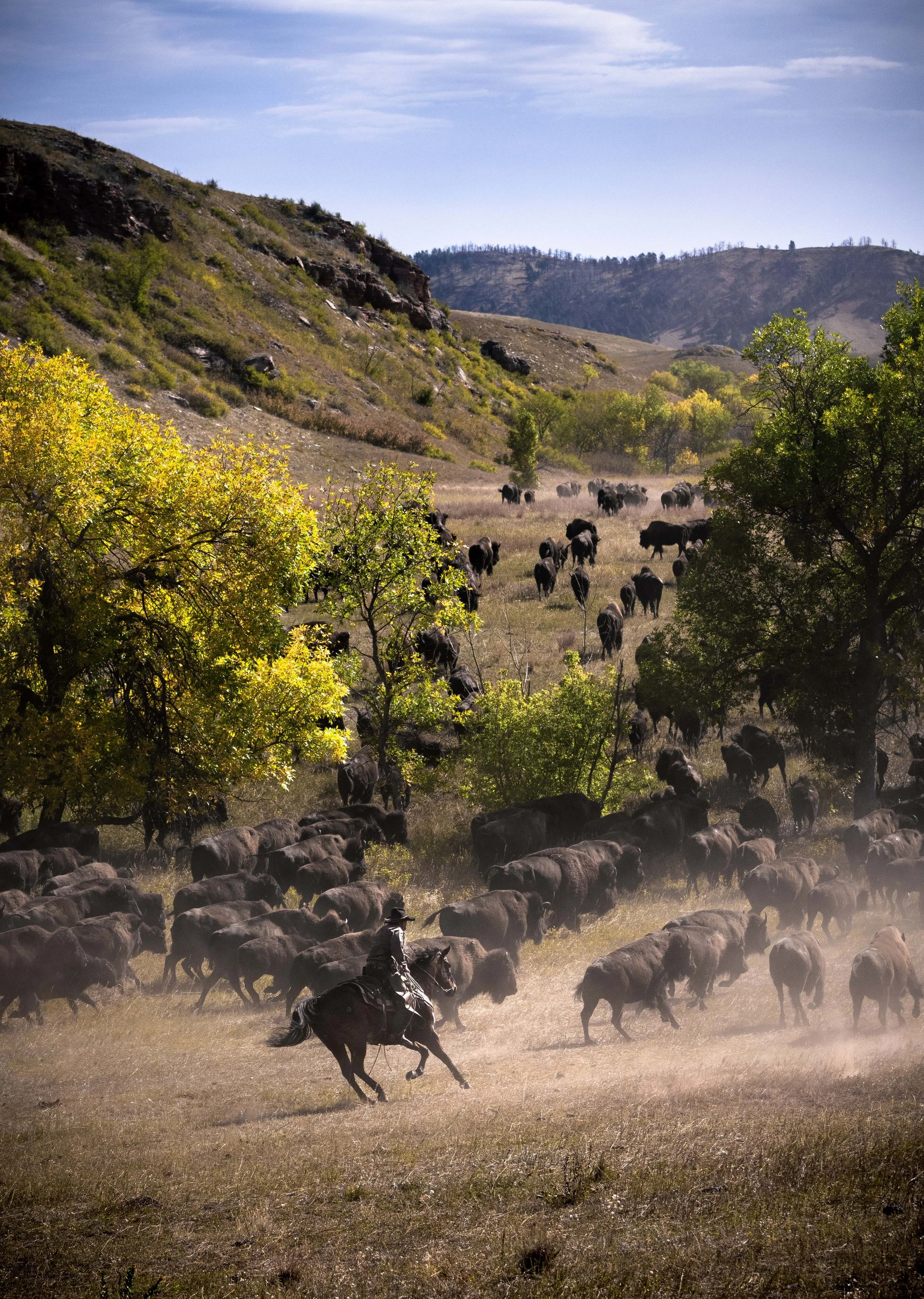 BuffaloRoundup2021-83.jpg