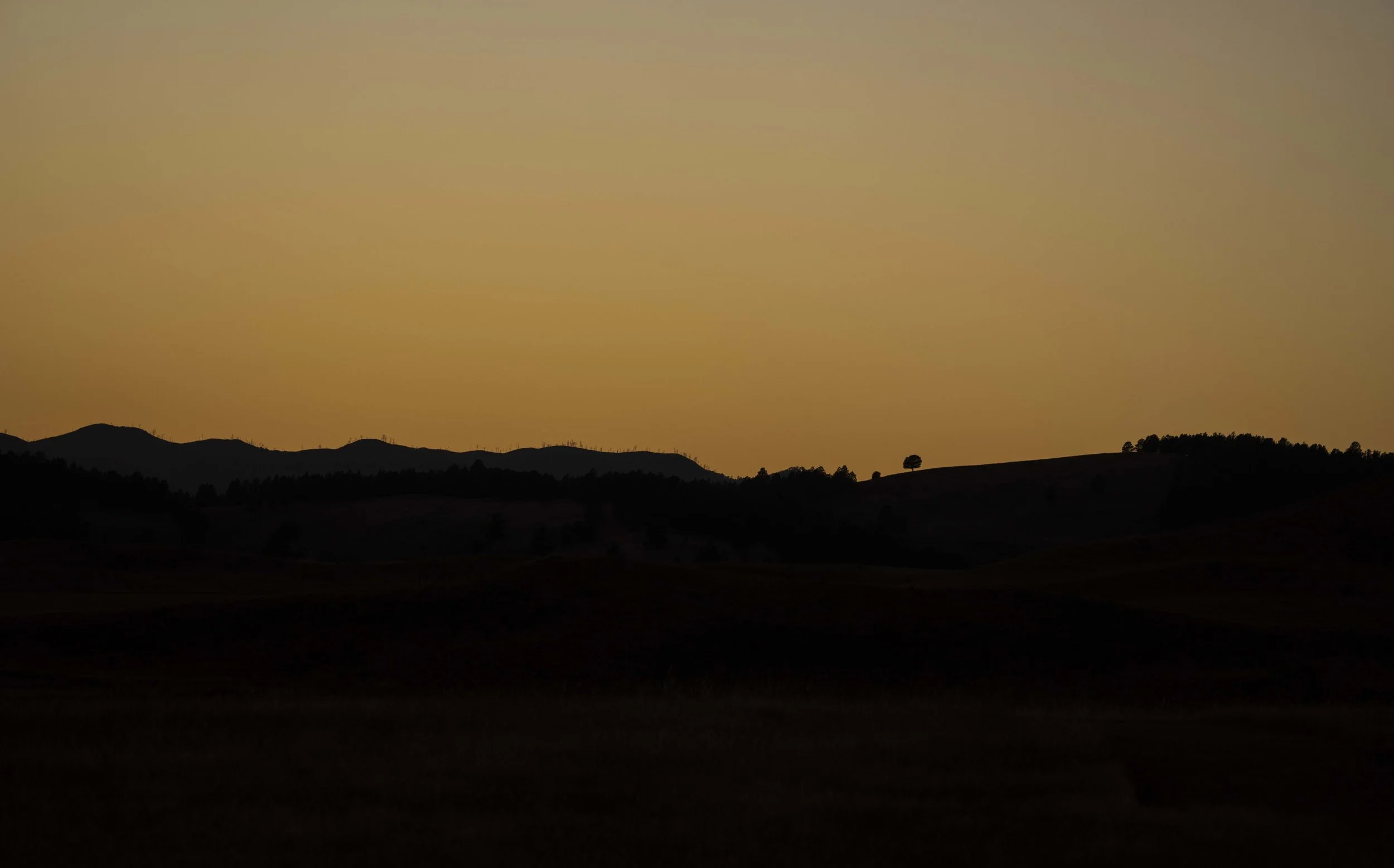 BuffaloRoundup-Ron-s-CSP-20240928_ByronBanasiak-63.jpg