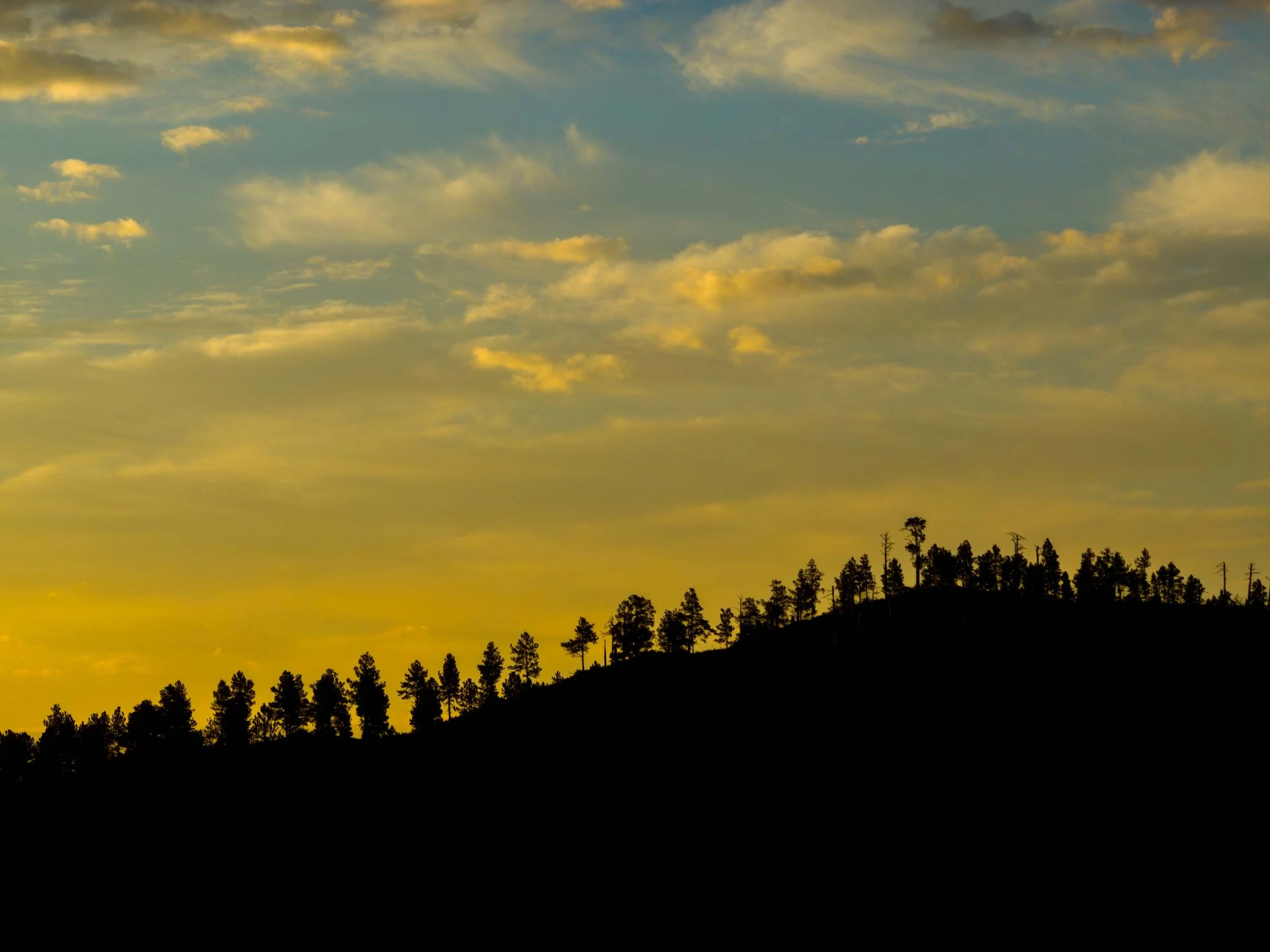 Landscape-Custer-Drone-20230827_ByronBanasiak-16_1.jpg