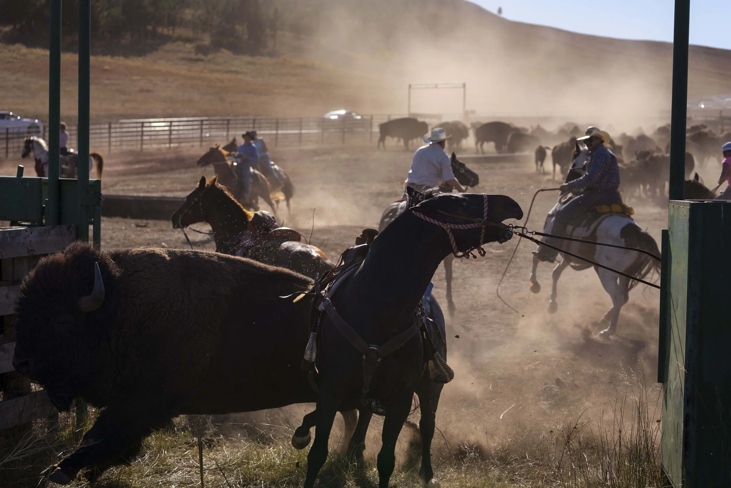 PraticeRide-CSP-20240926_ByronBanasiak-102.jpg