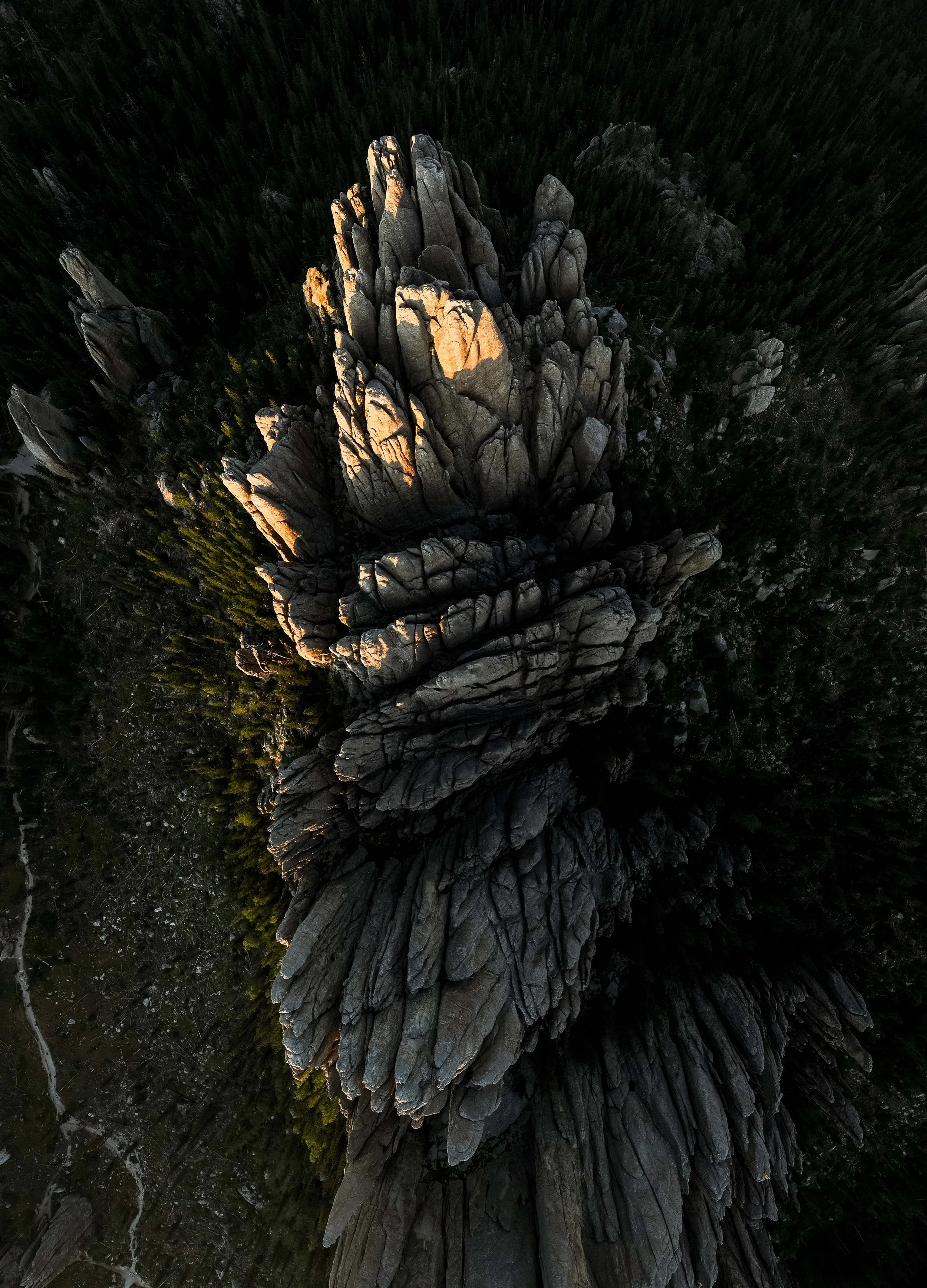 Landscape-CusterStatePark-Drone-20230827_ByronBanasiak-37_1.jpg