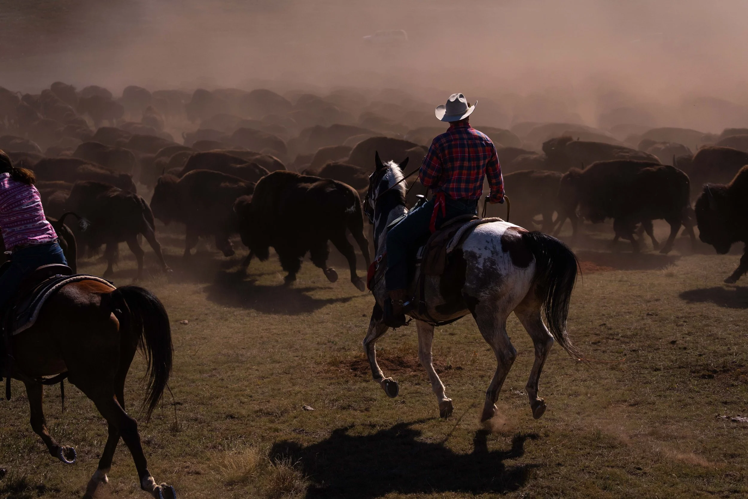 BuffaloRoundup-CSP-20250926-ByronBanasiak-33.jpg