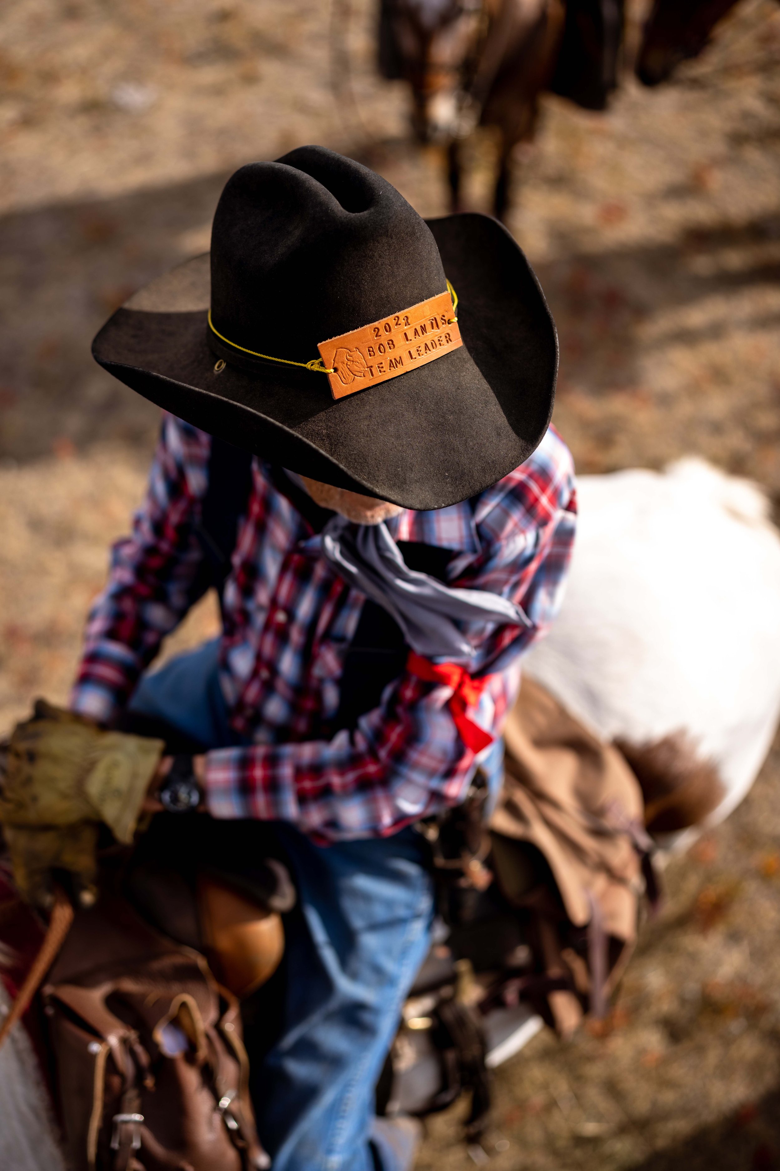 BuffaloRoundup-CSP-20220930-ByronBanasiak-5.jpg