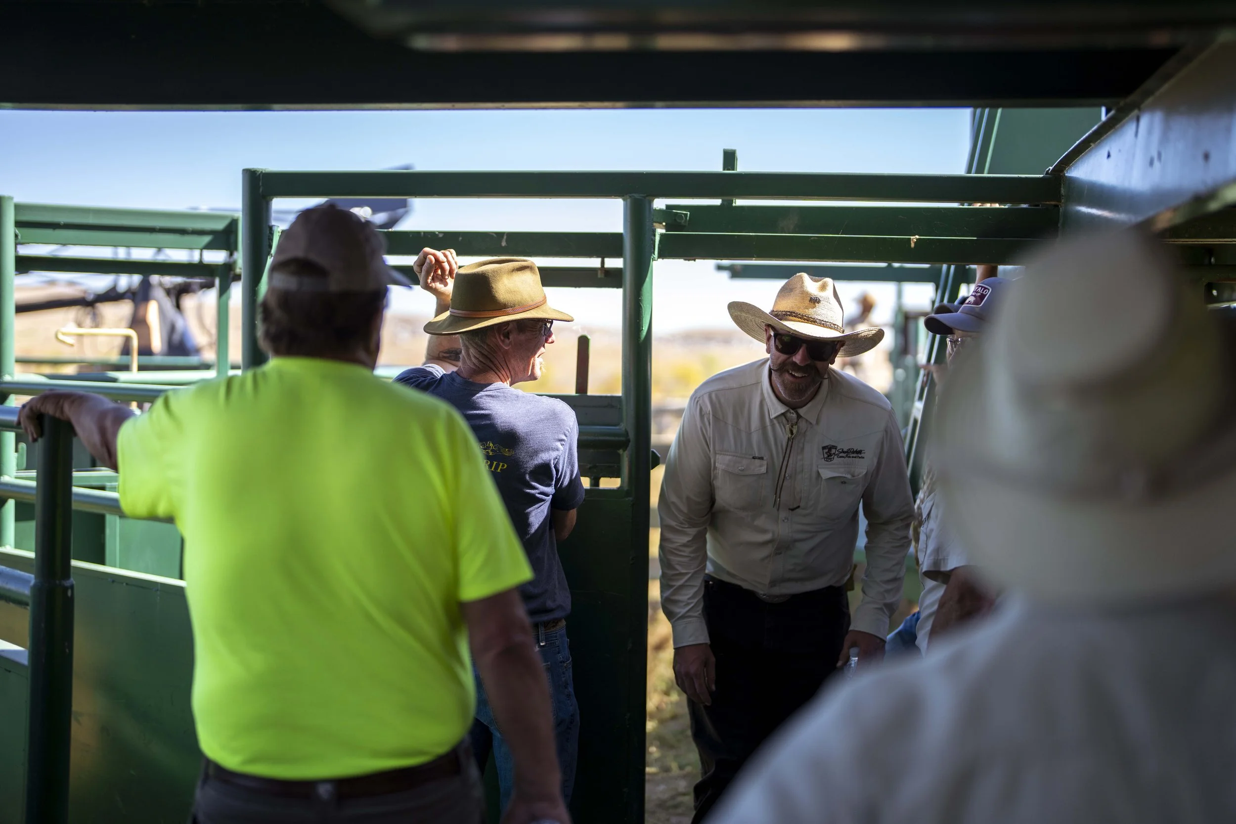 BuffaloRoundup-Branding-CSP-20240927_ByronBanasiak.jpg