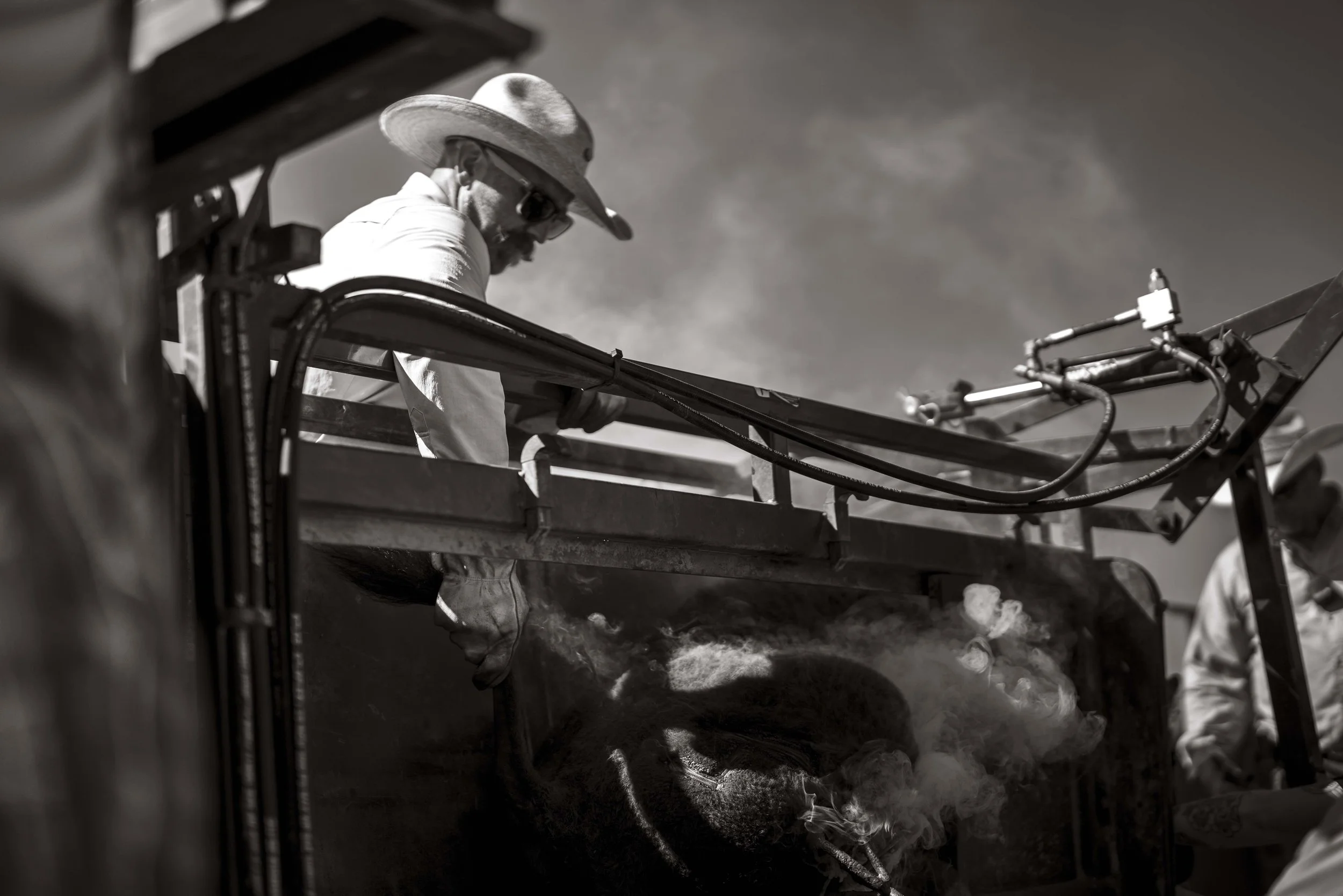 BuffaloRoundup-Branding-CSP-20240927_ByronBanasiak-97.jpg