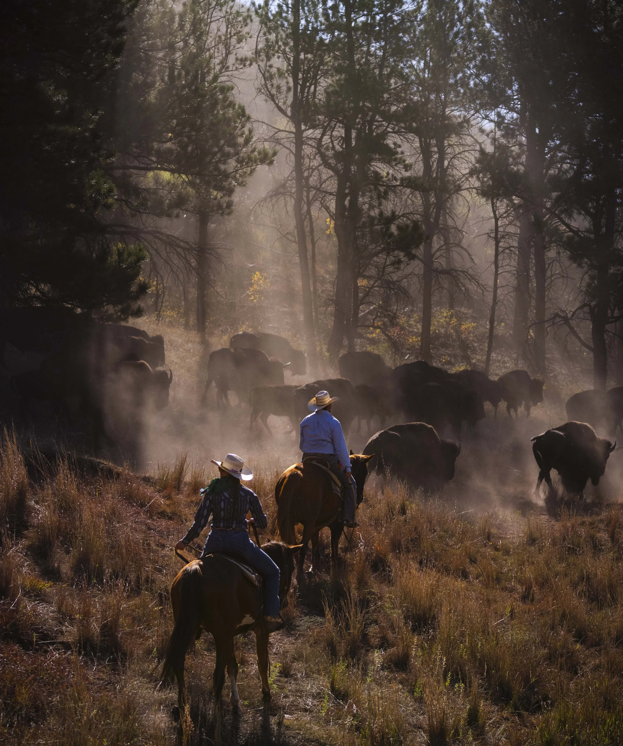 BuffaloRoundup-CSP-20240927_ByronBanasiak-134.jpg