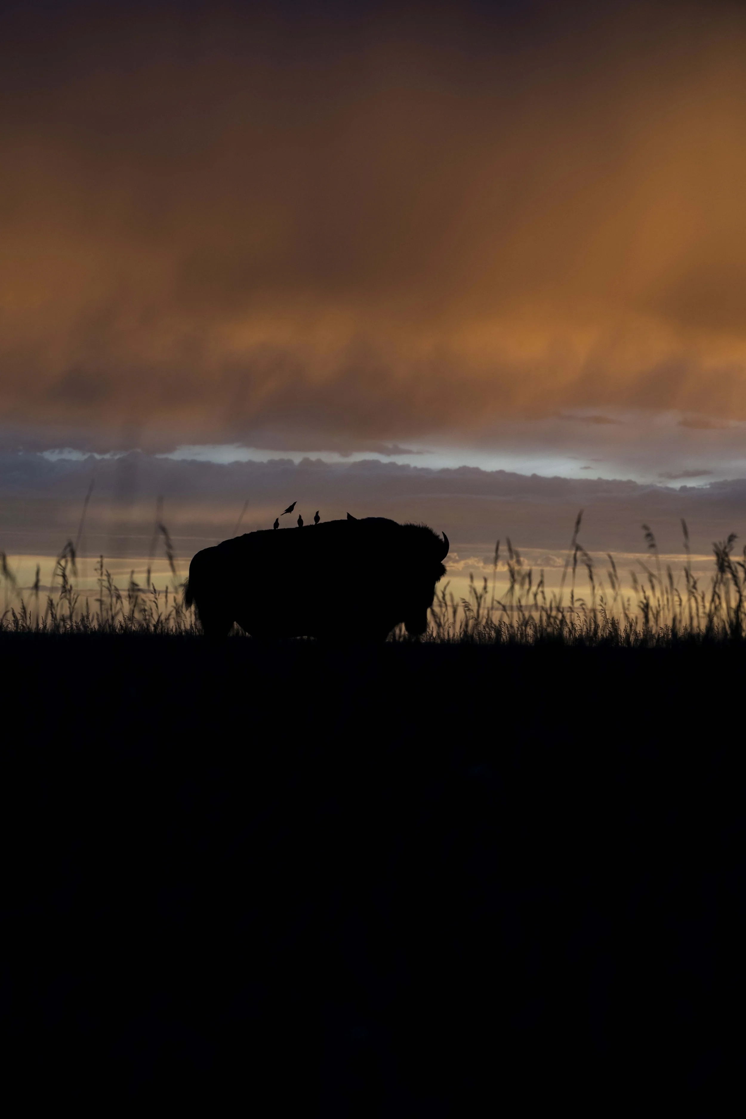 Badlands-Camping-20240711_ByronBanasiak-72_1.jpg