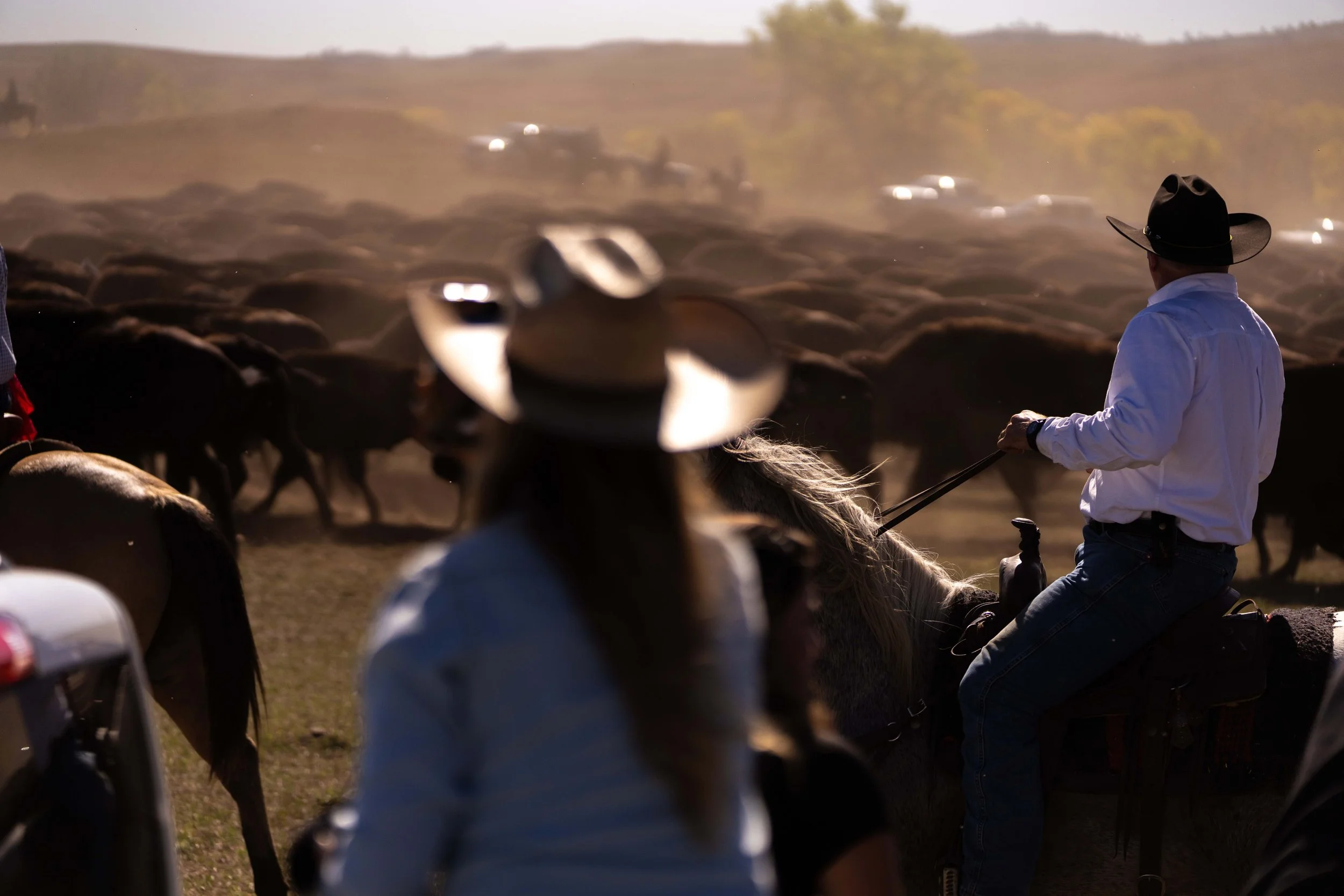 BuffaloRoundup-CSP-20250926-ByronBanasiak-25.jpg