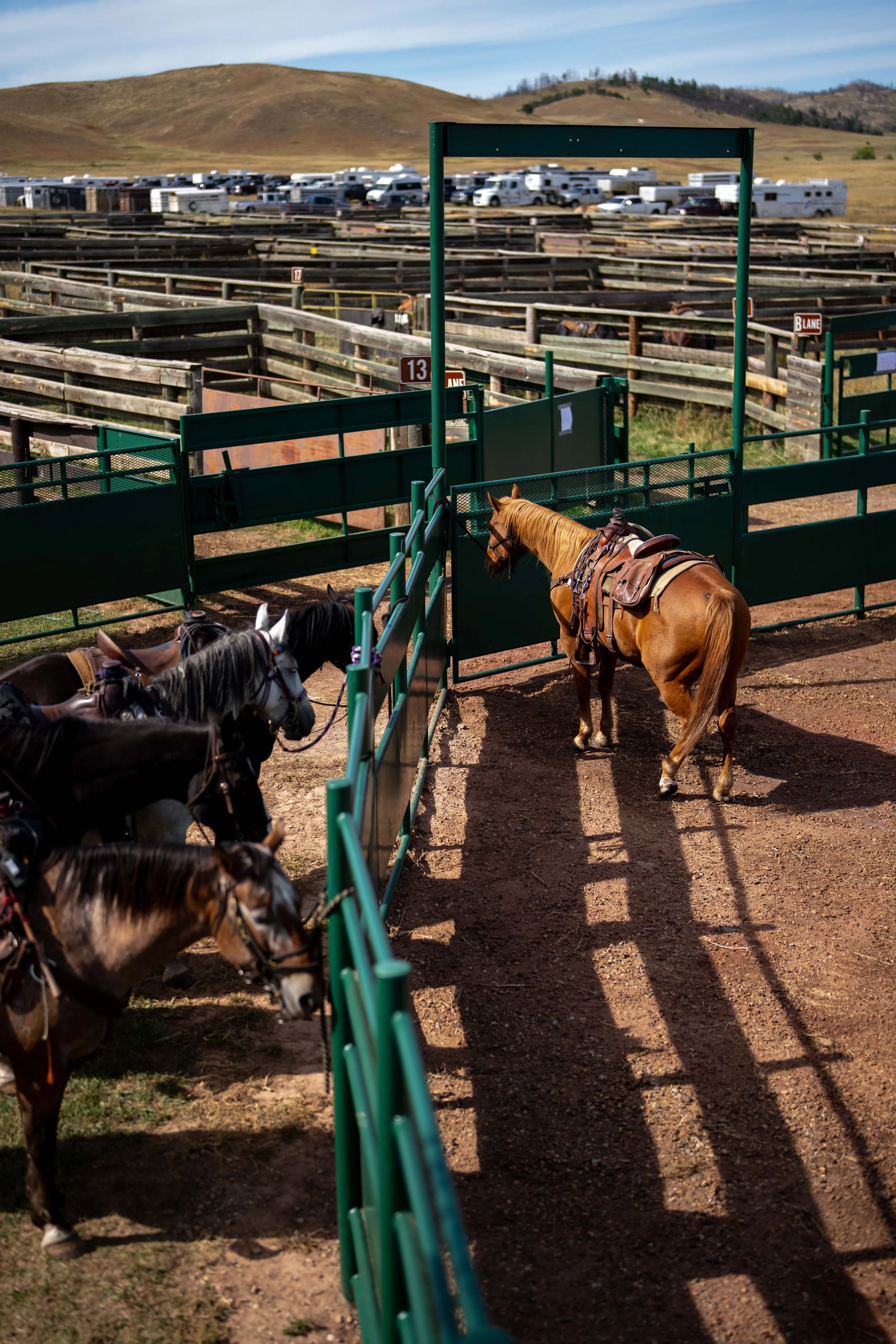 CusterStatePark-PreRoundup-20210923-ByronBanasiak-42.jpg