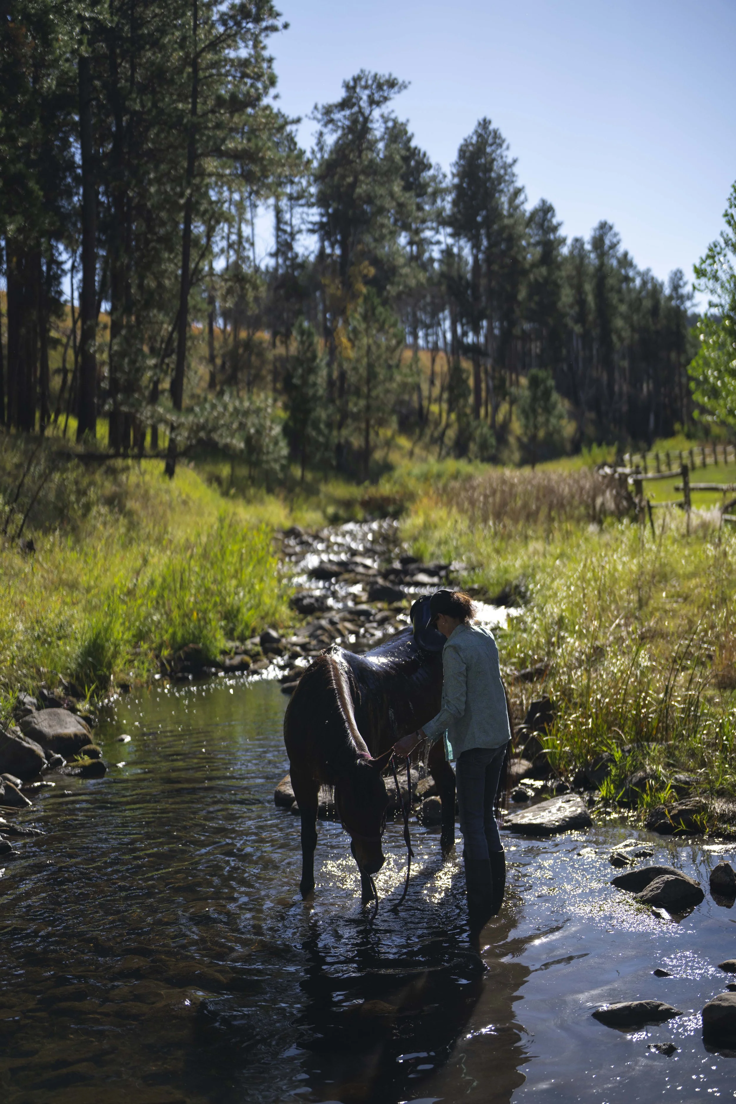 Roundup-HorseCamp-CSP-20240925_ByronBanasiak-13.jpg