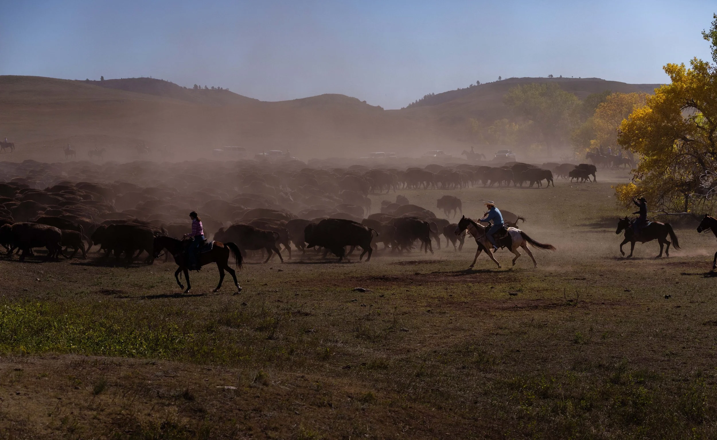 BuffaloRoundup-CSP-20250926-ByronBanasiak-23.jpg