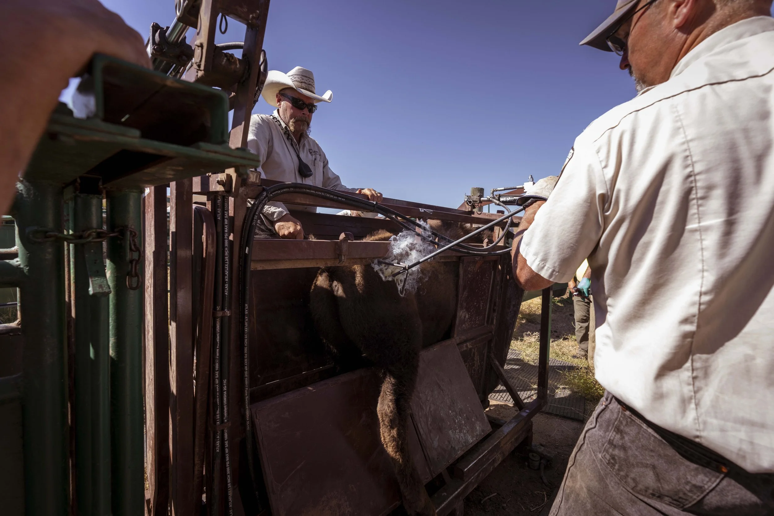 BuffaloRoundup-Branding-CSP-20240927_ByronBanasiak-82.jpg