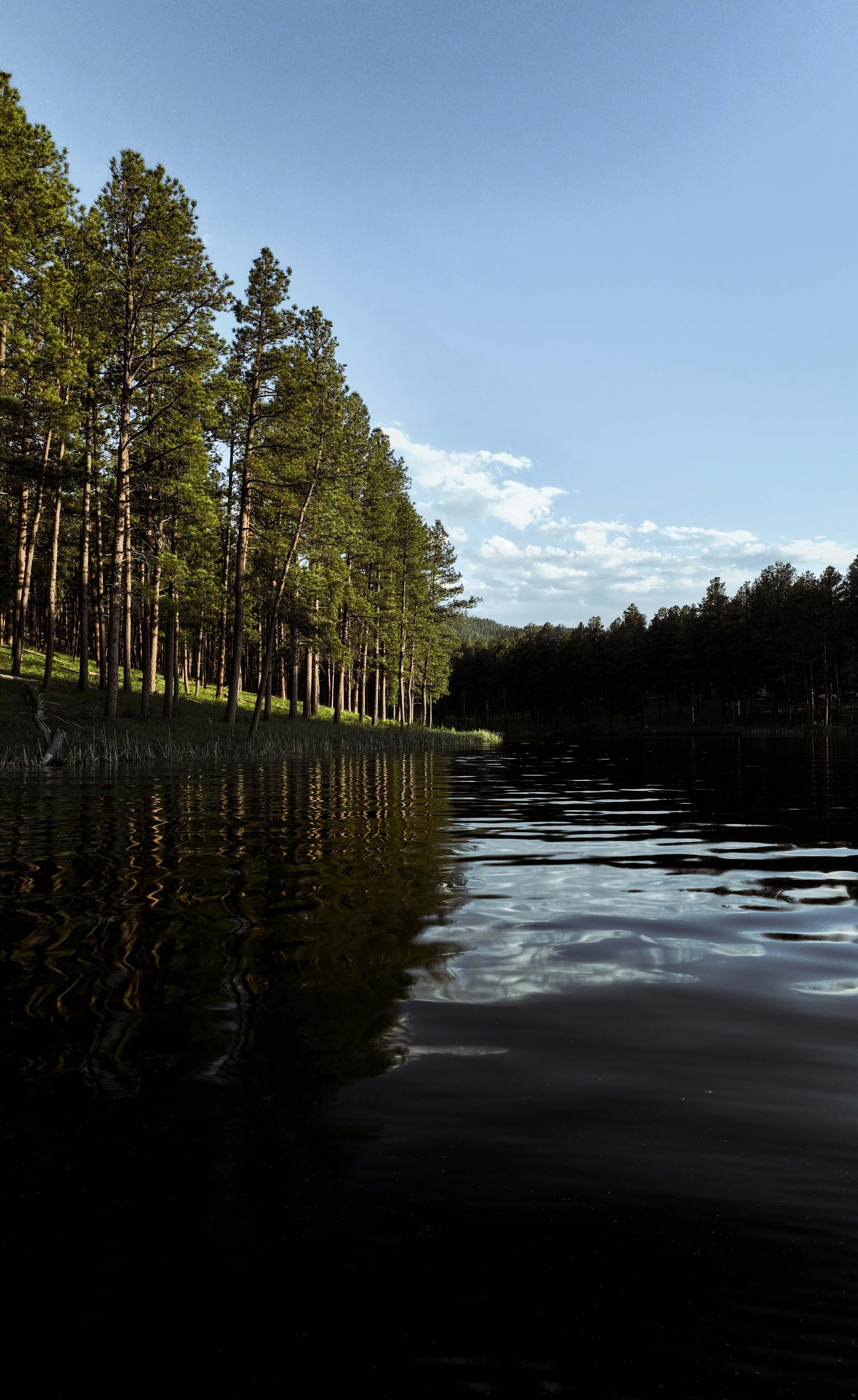 SheridanLake-Drone-20240612-ByronBanasiak-58_1.jpg