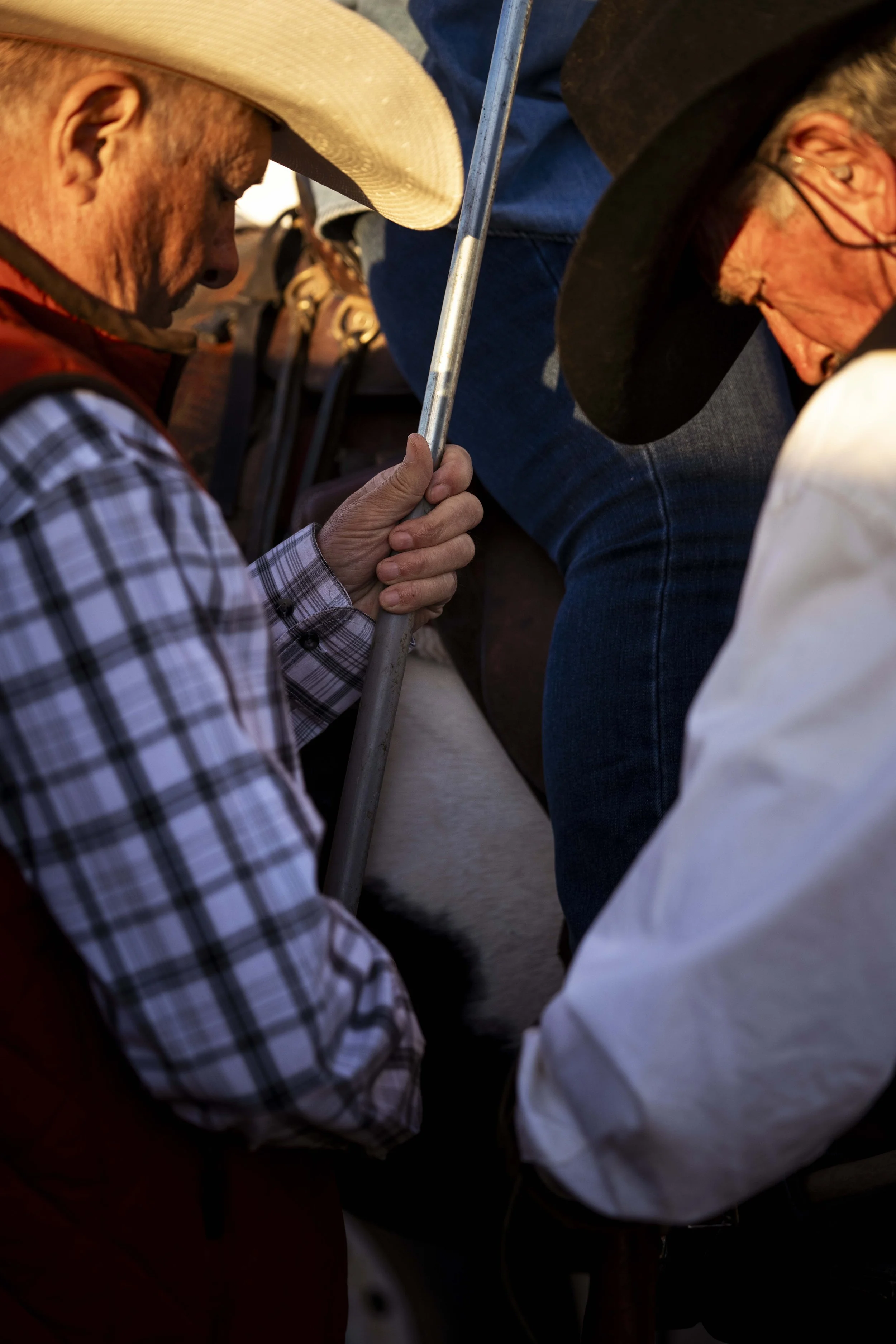 BuffaloRoundup-BeforeRide-CSP-20240927_ByronBanasiak-103.jpg
