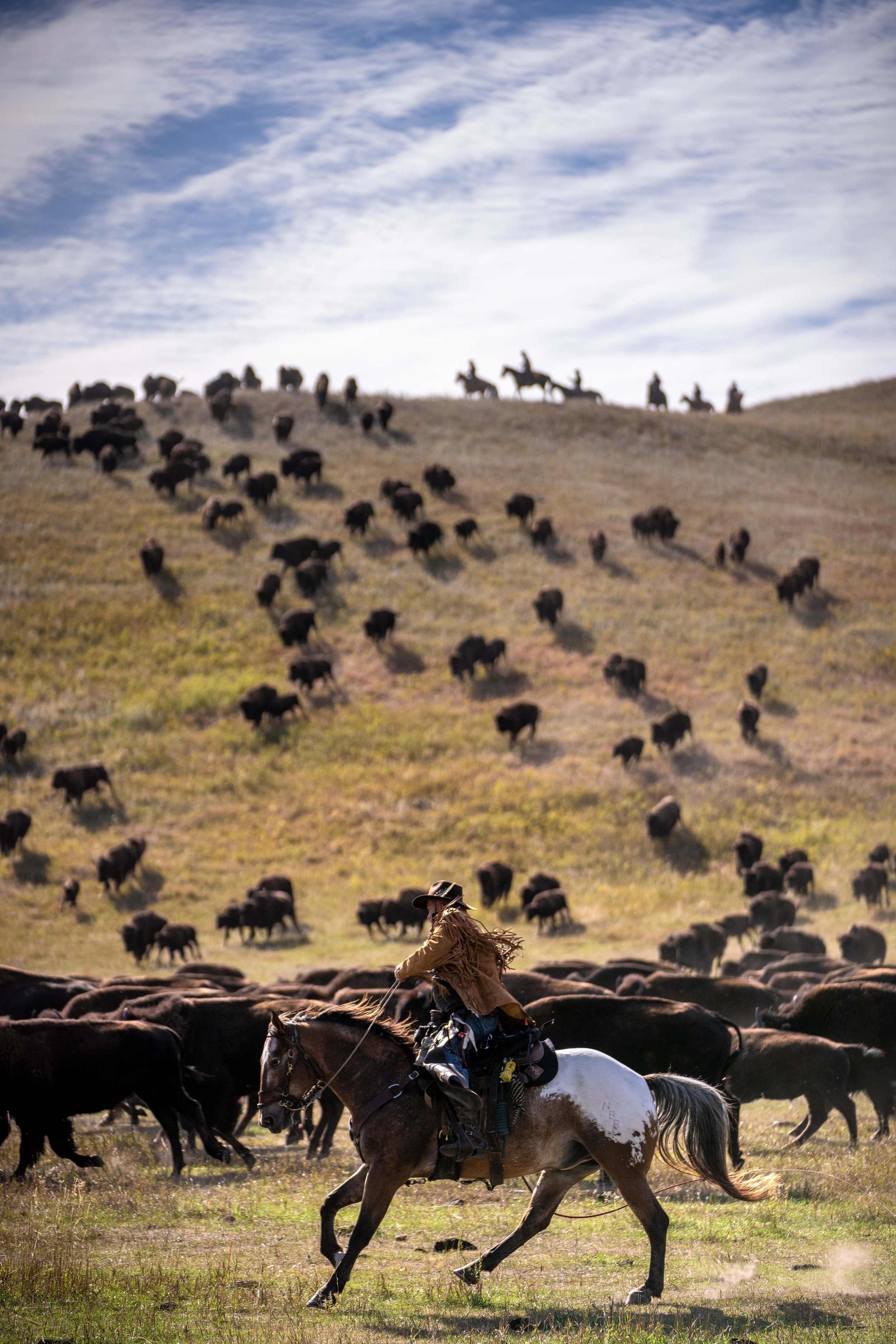 BuffaloRoundup2021_Selects-28.jpg