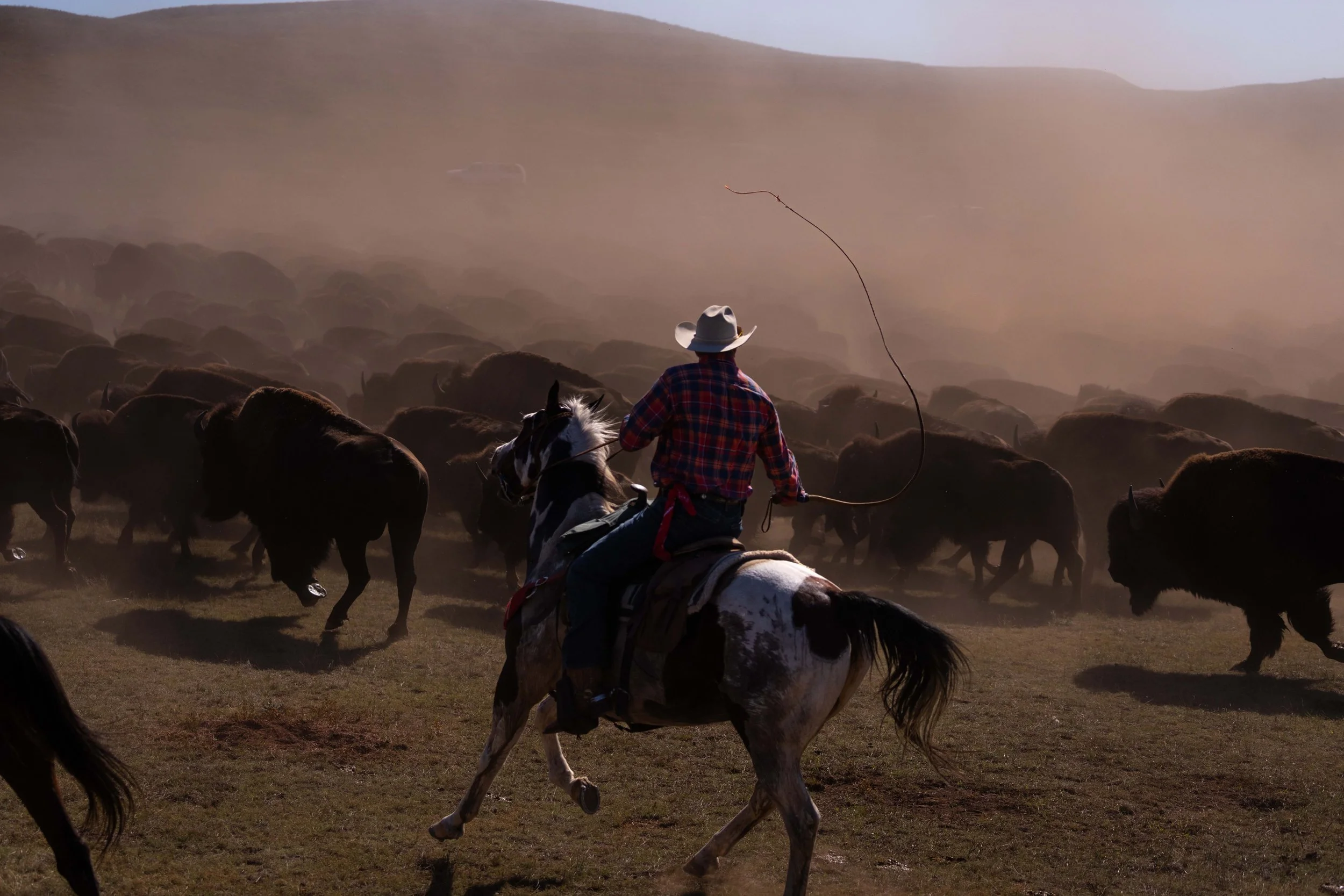 BuffaloRoundup-CSP-20250926-ByronBanasiak-31.jpg