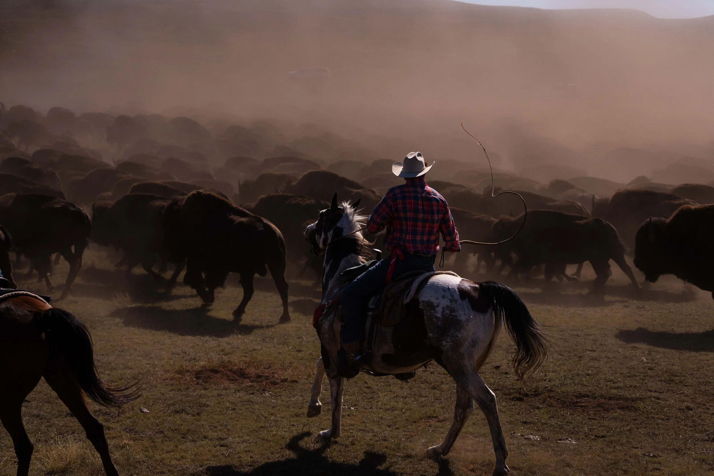 BuffaloRoundup-CSP-20250926-ByronBanasiak-32.jpg